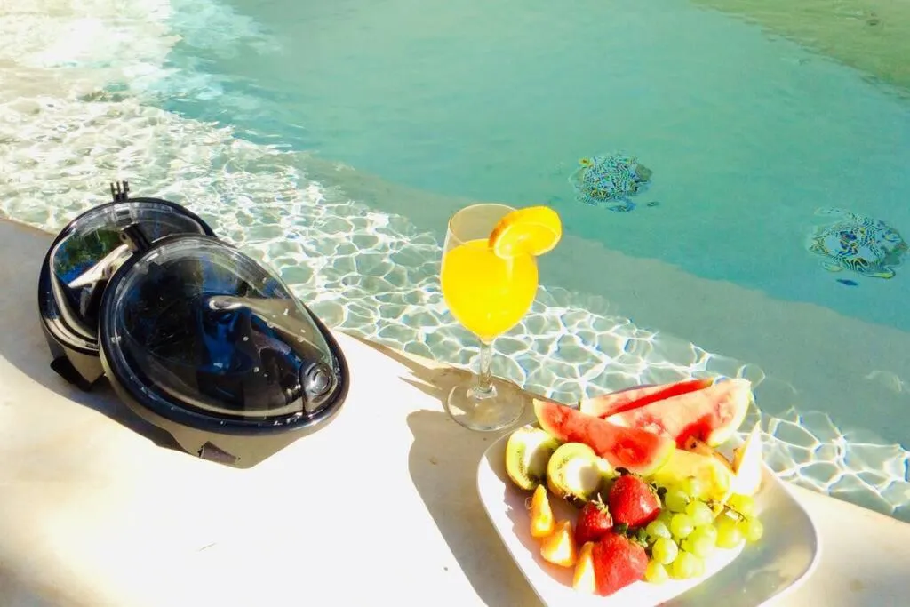 DK31 Wifi 600mb, Cheap Scooters by Moikkarentals