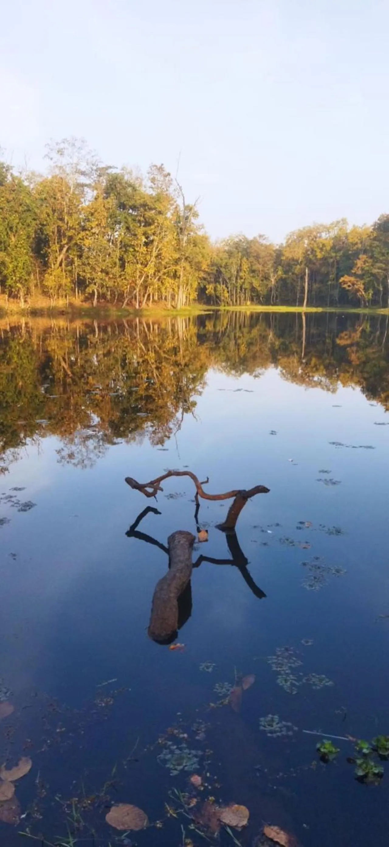 Natural landscape in Sauraha Holiday Home Riverside by managed Hotel Surya Adventure