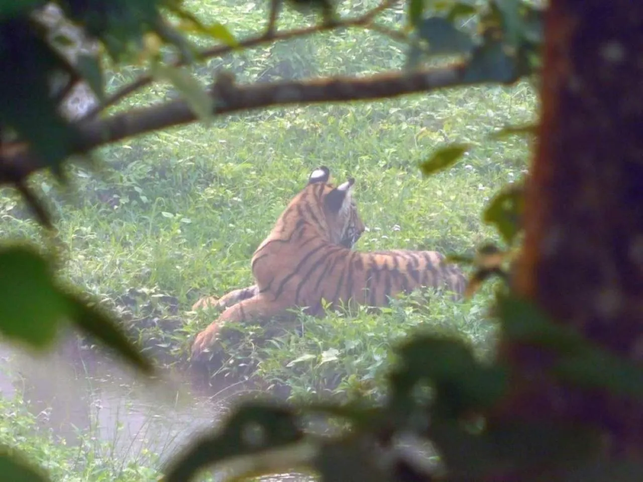 Activities in Sauraha Holiday Home Riverside by managed Hotel Surya Adventure