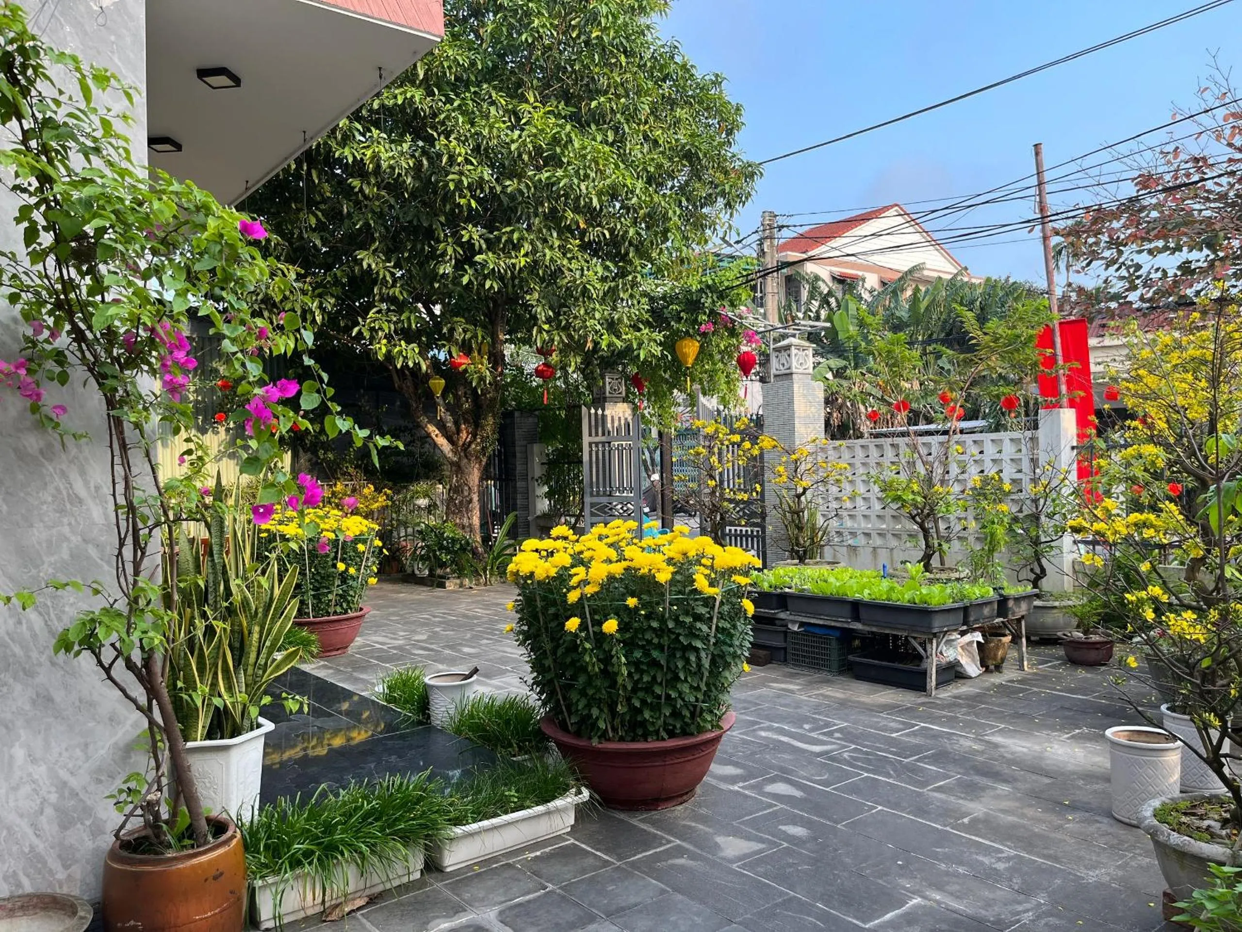 Garden in Homestay Phương House