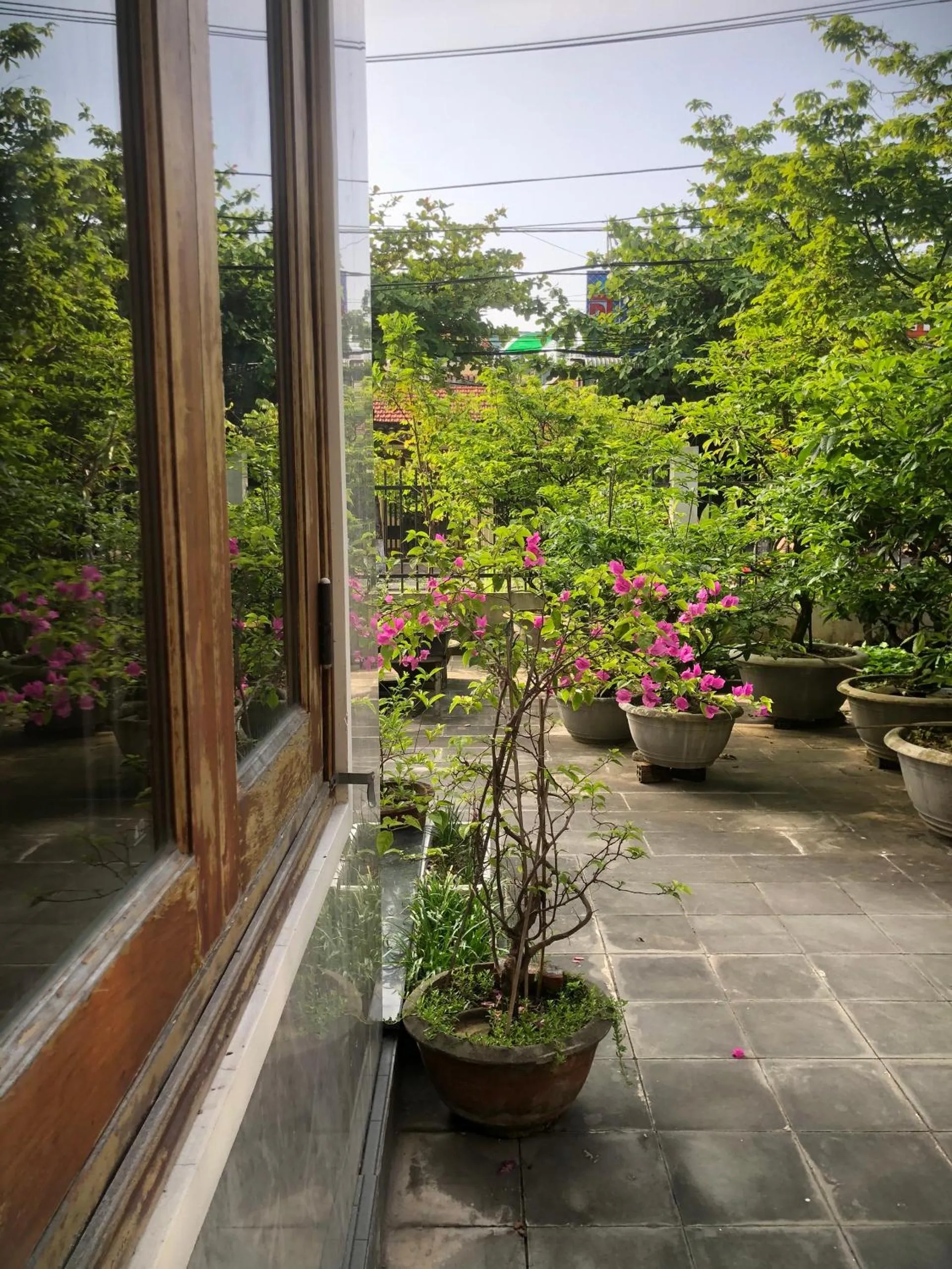 Day in Homestay Phương House