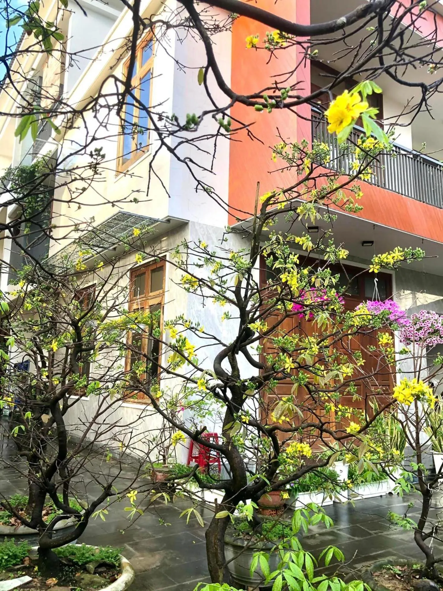 Day in Homestay Phương House