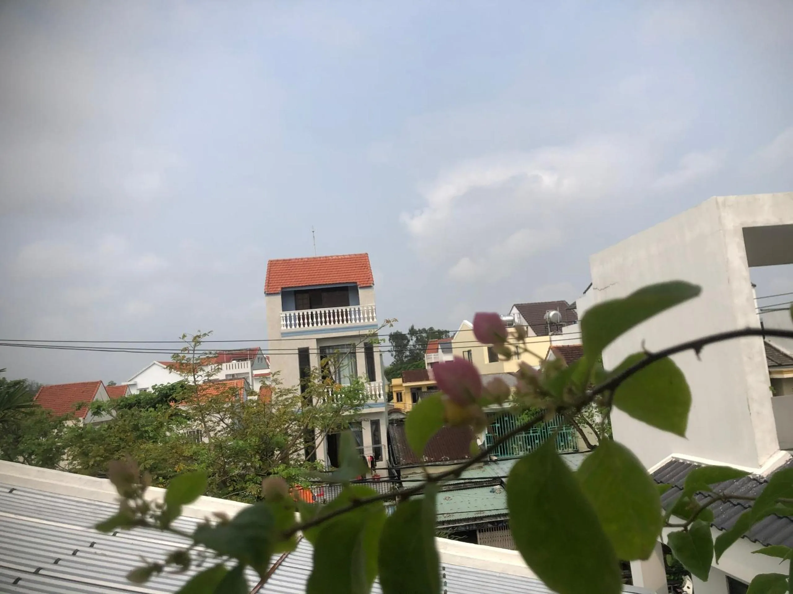 Day in Homestay Phương House