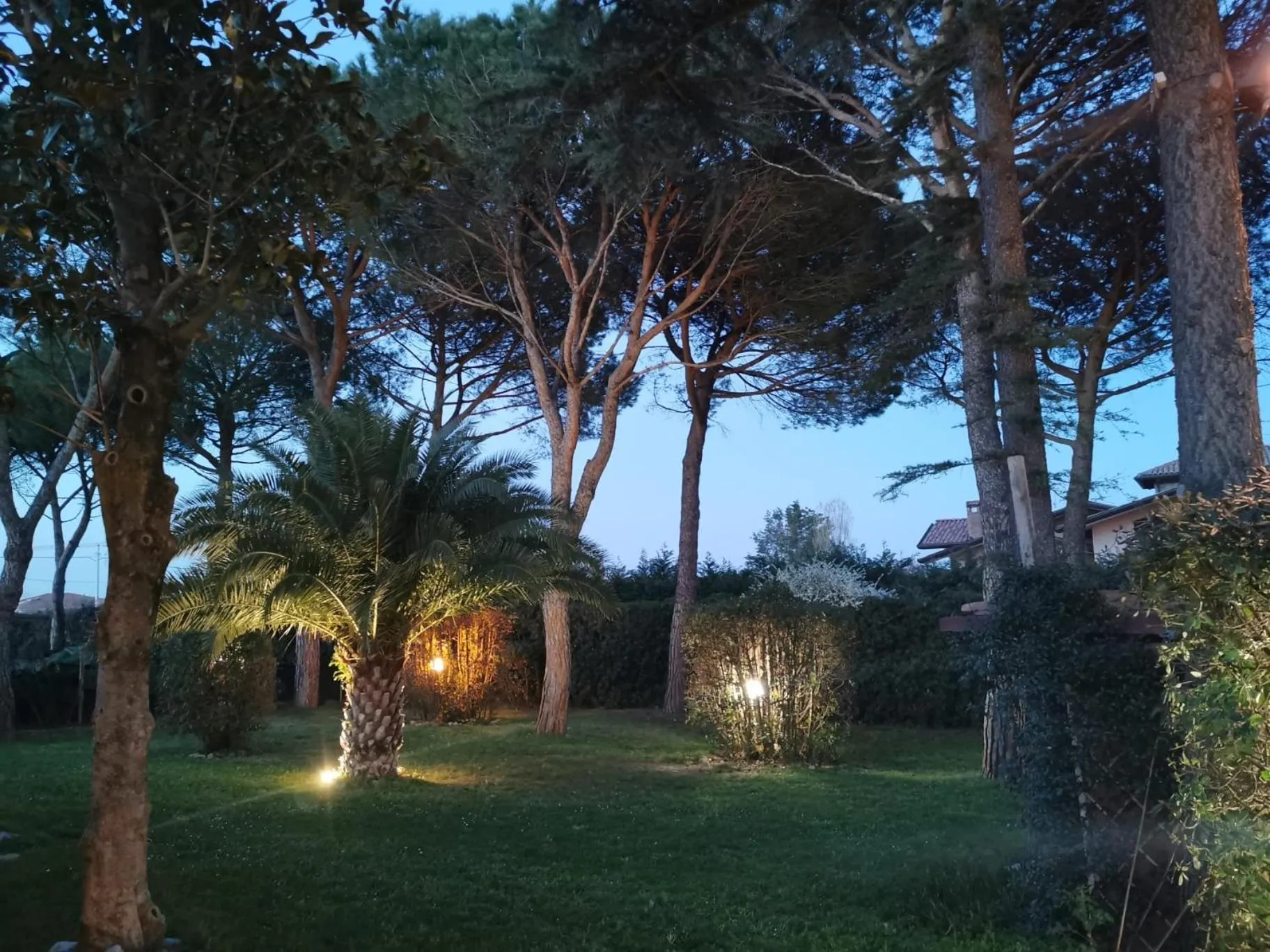 Garden in B&B Parco degli Ulivi