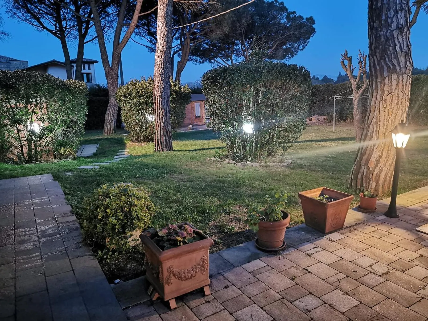 Garden in B&B Parco degli Ulivi