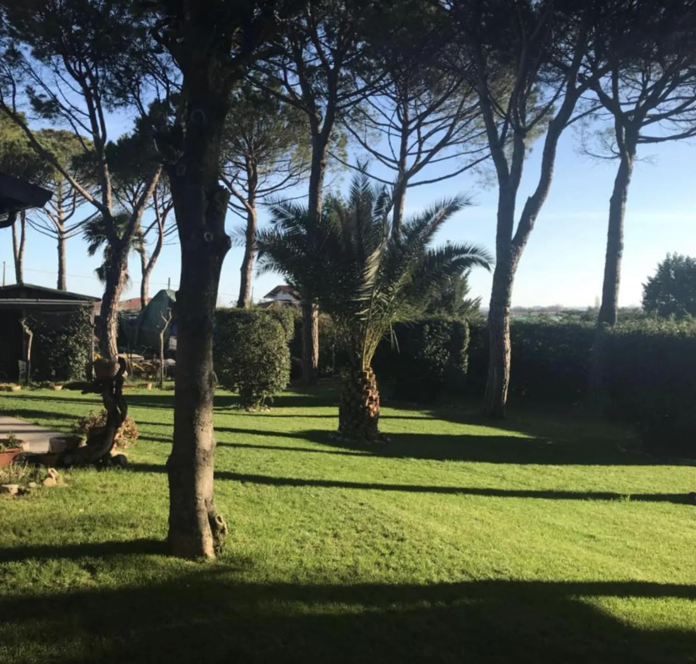 Garden in B&B Parco degli Ulivi