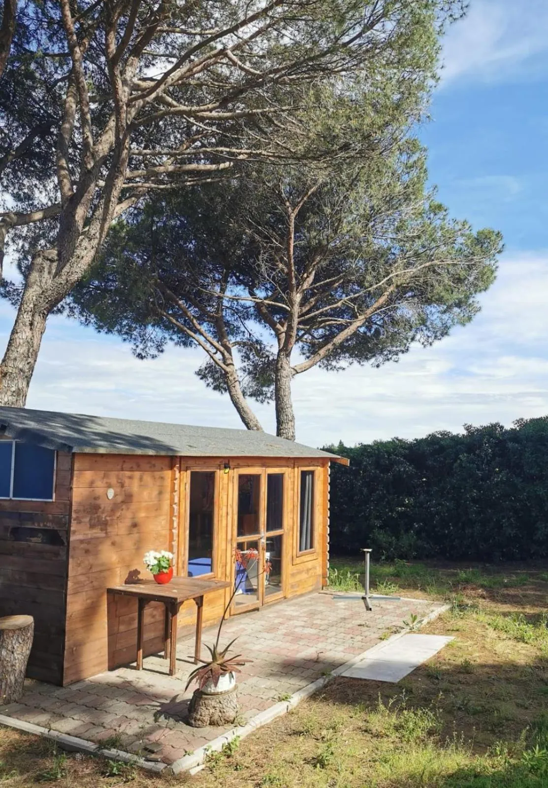 B&B Parco degli Ulivi