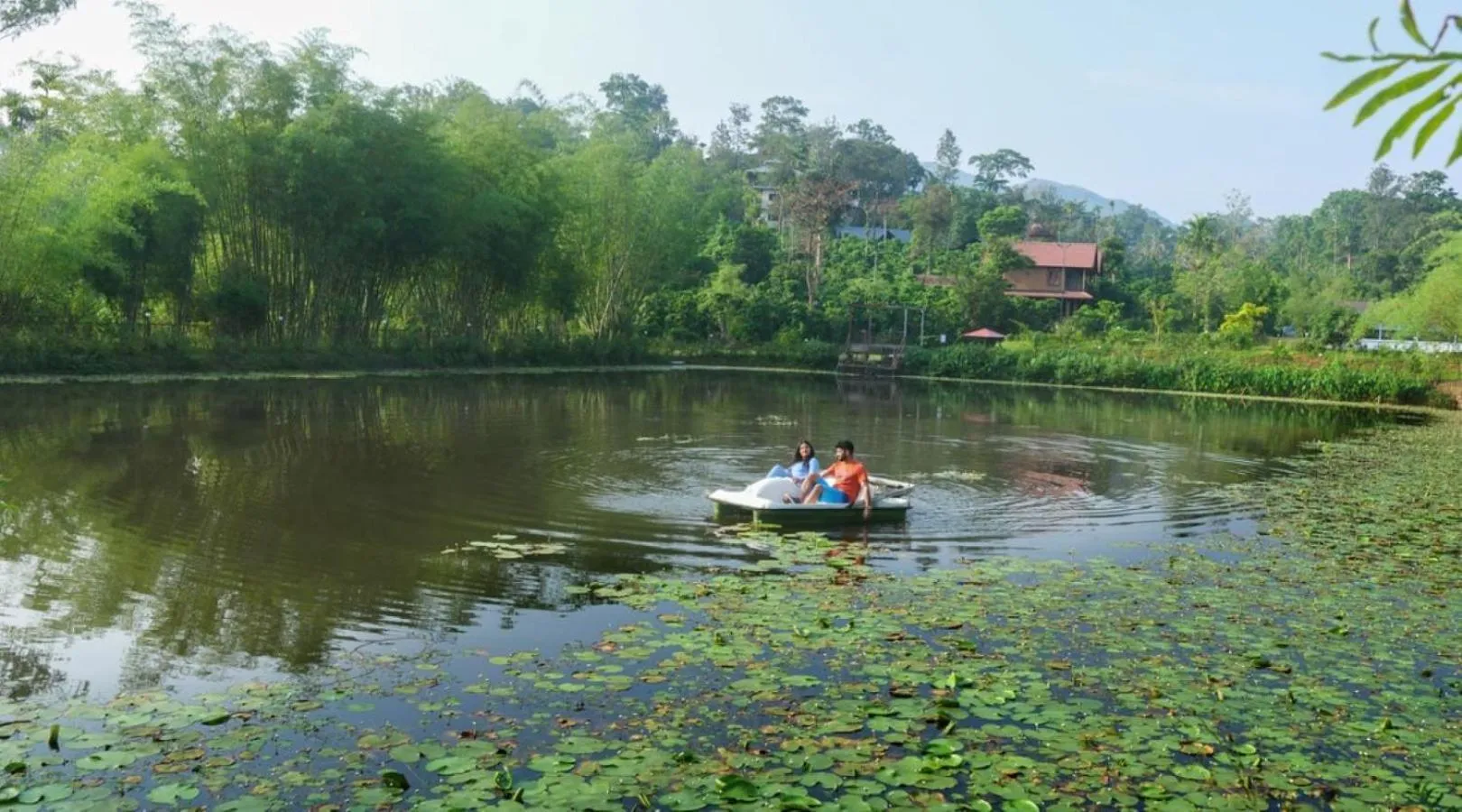Activities in Niyatma Wayanad Pool Resort by VOYE HOMES - Inside Coffee Plantation