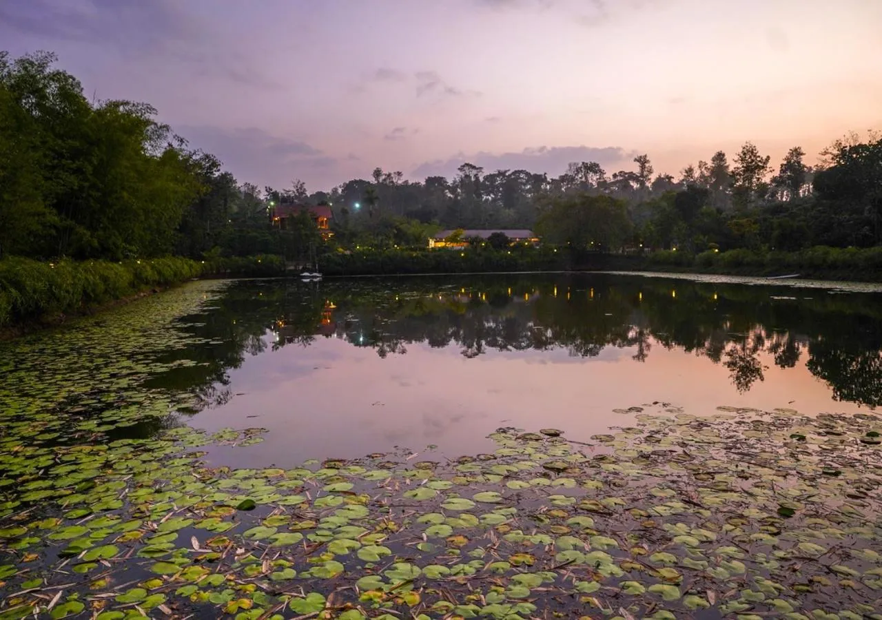 Spring in Niyatma Wayanad Pool Resort by VOYE HOMES - Inside Coffee Plantation