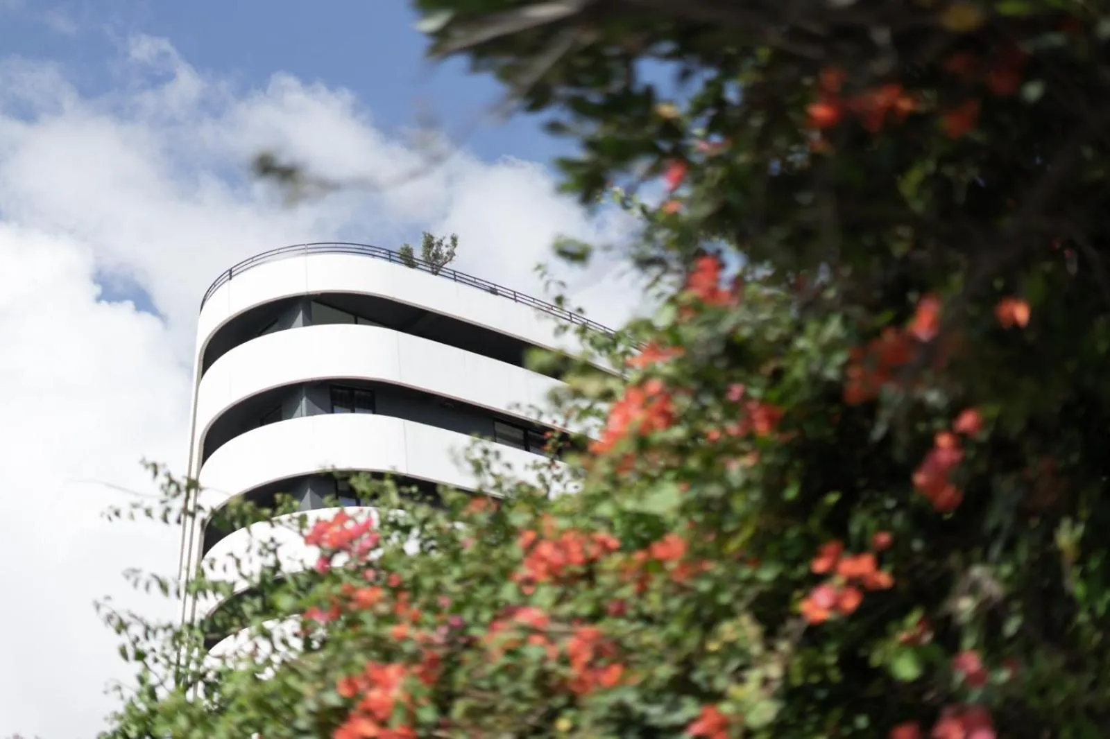 Property building in Park Heights by the Warren Collection