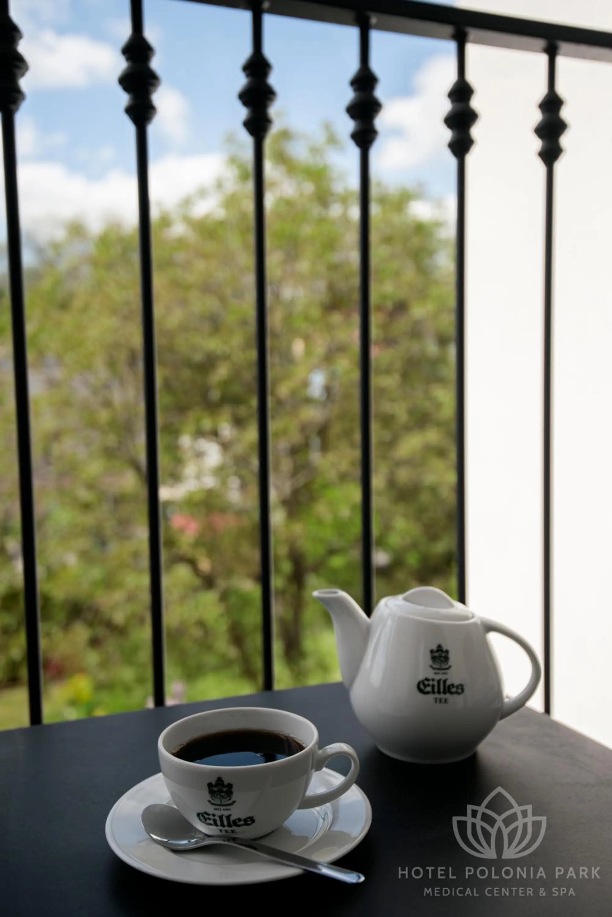 Day in Hotel Polonia PARK Medical Center & Spa