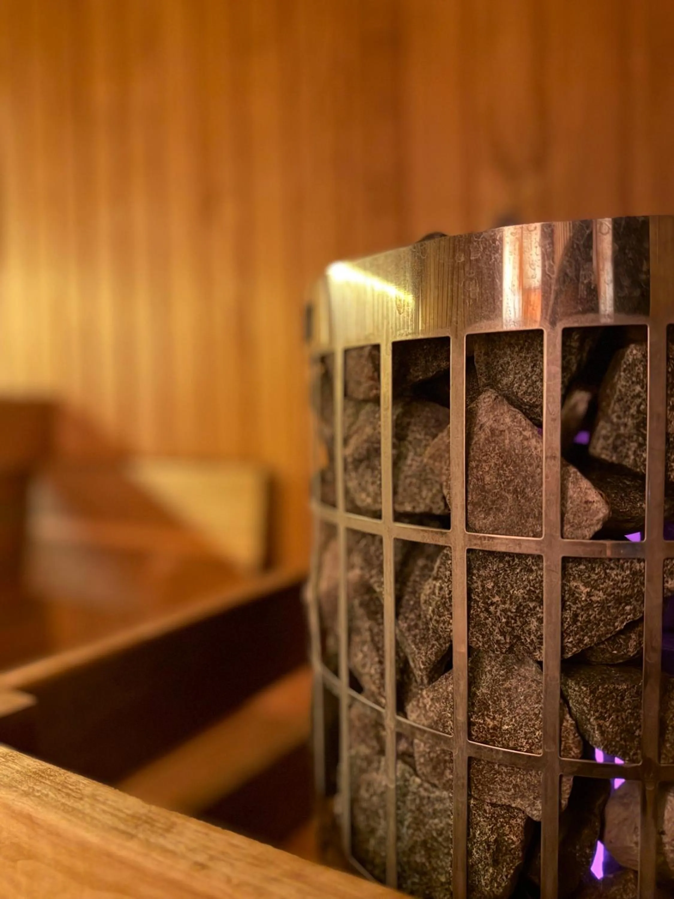 Sauna in Hotel Polonia PARK Medical Center & Spa