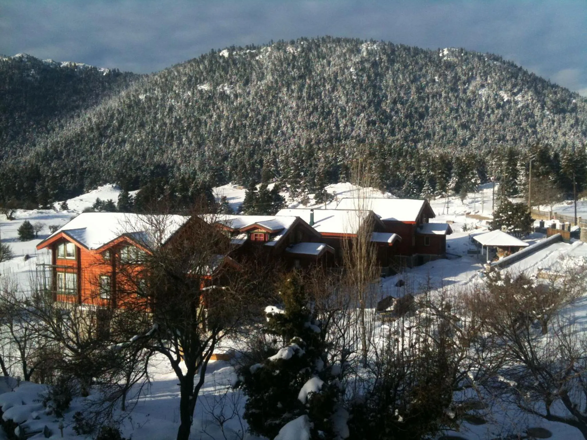 Facade/entrance in Boutique Hotel Skamnos Arachova