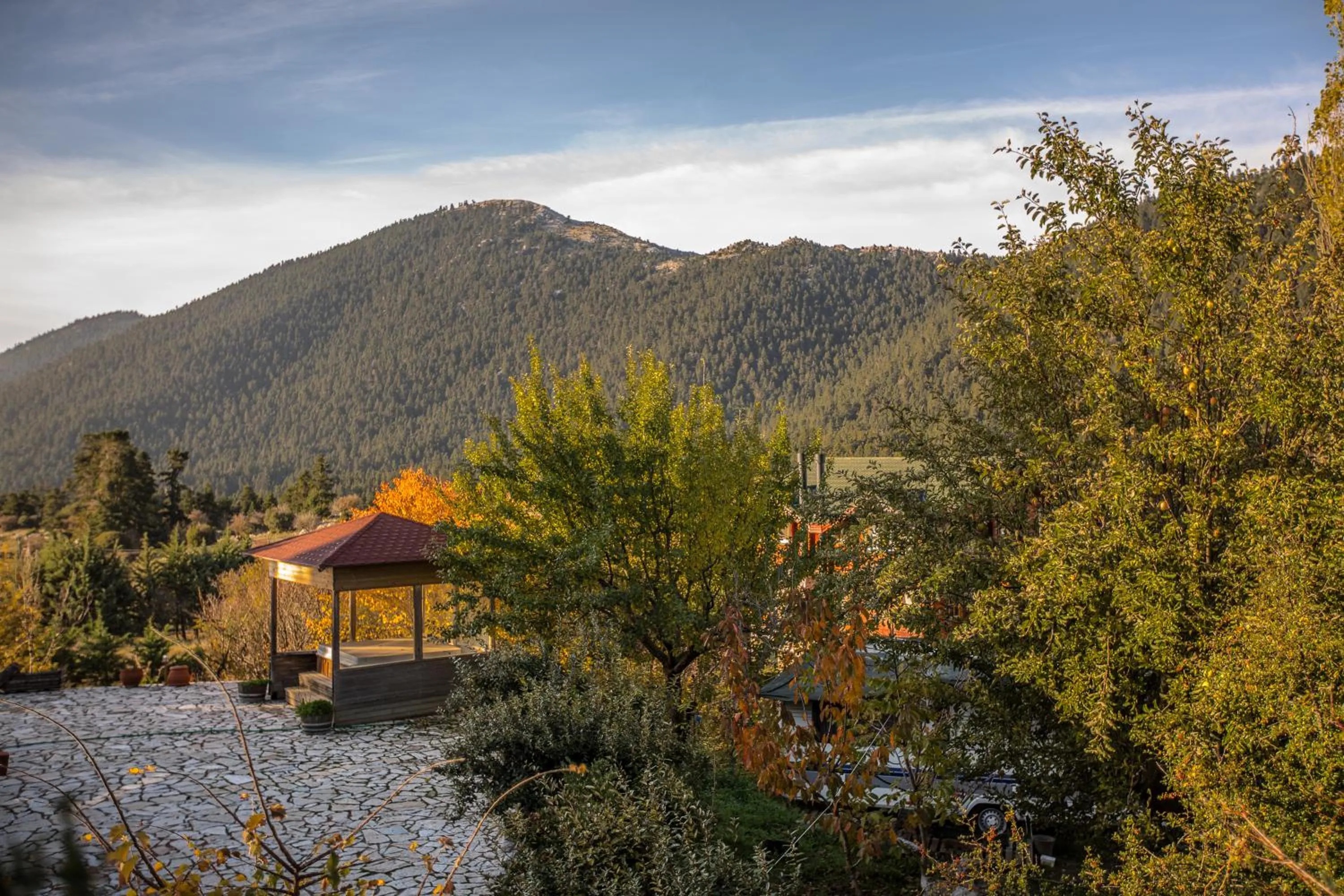 Property building in Boutique Hotel Skamnos Arachova