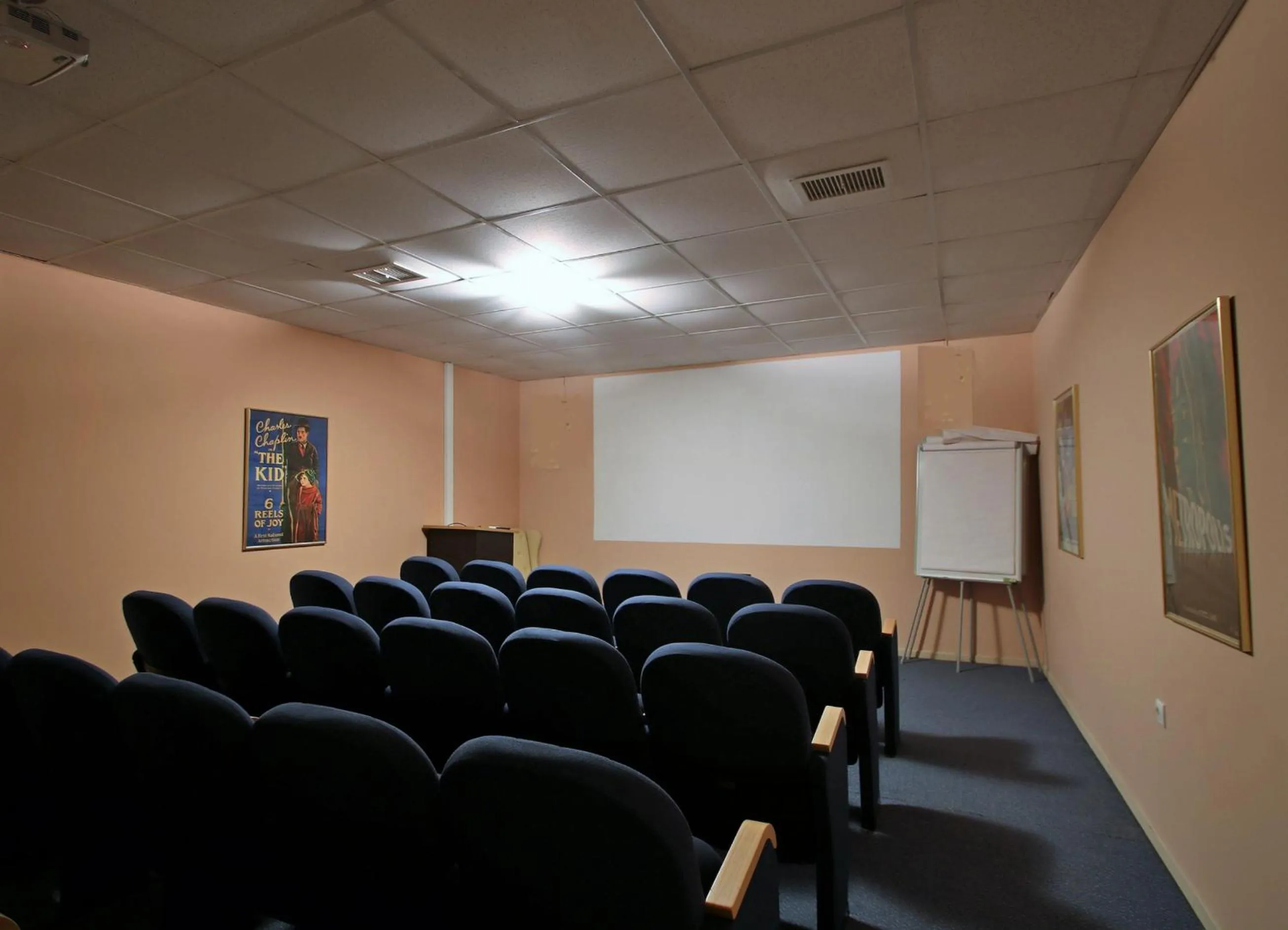 Meeting/conference room in Boutique Hotel Skamnos Arachova