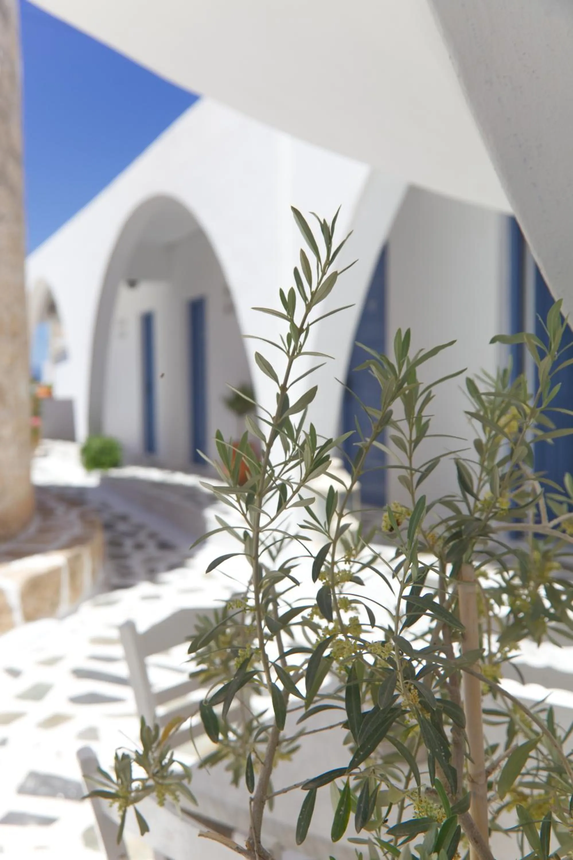 Property building in The Milos