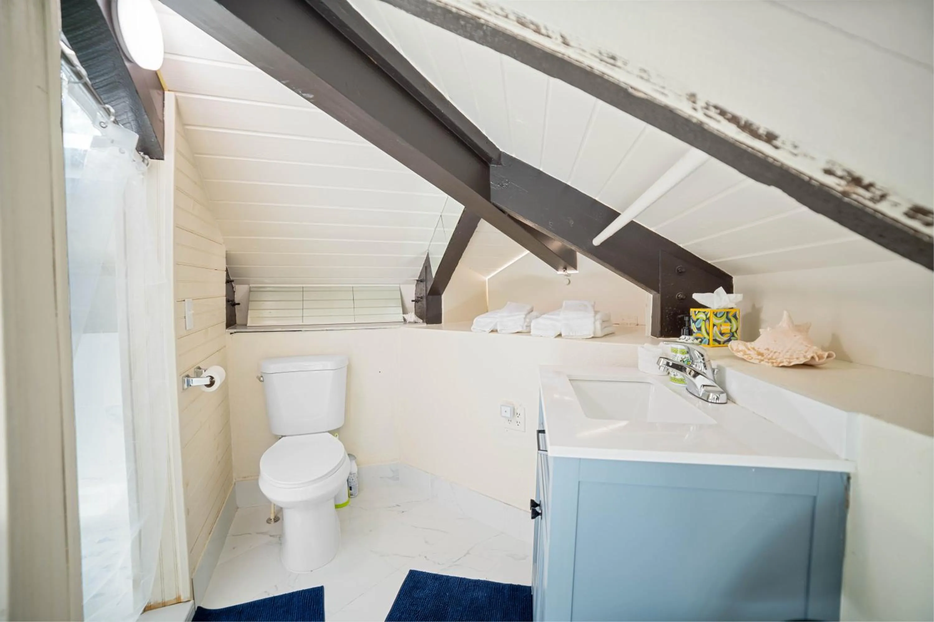 Bathroom in Barnacle Bed and Breakfast