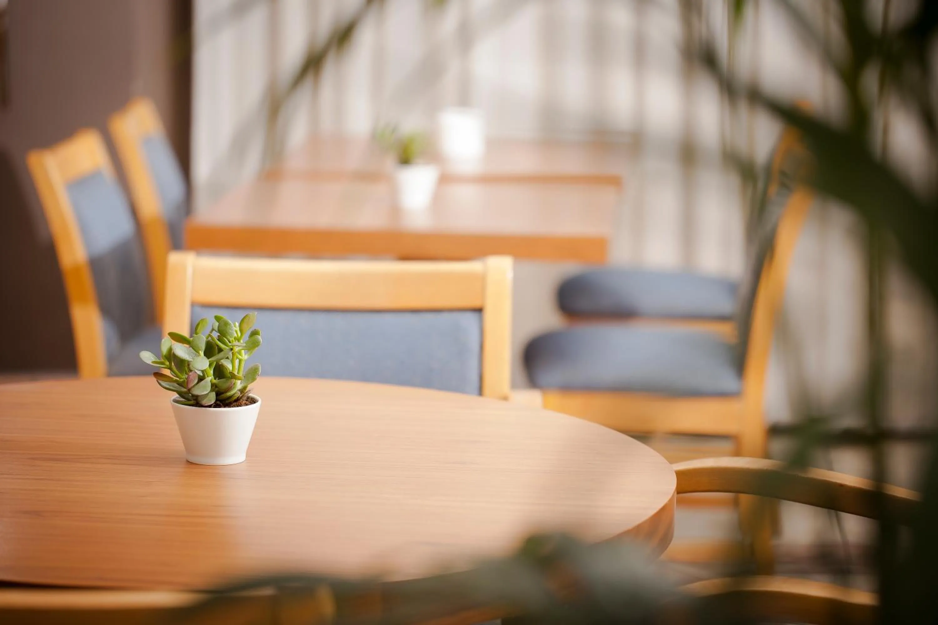 Communal lounge/ TV room in Telioni Hotel