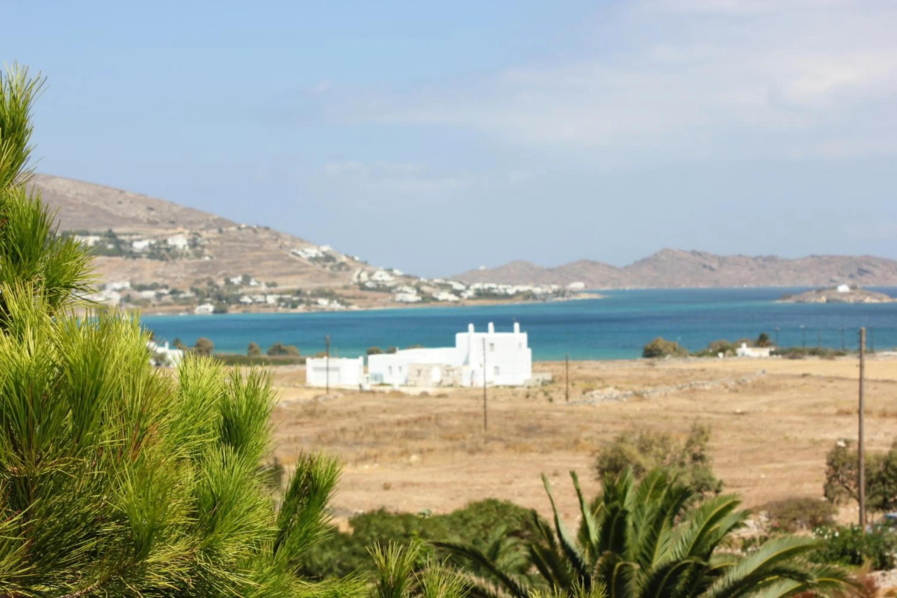 Day in Hotel Swiss Home