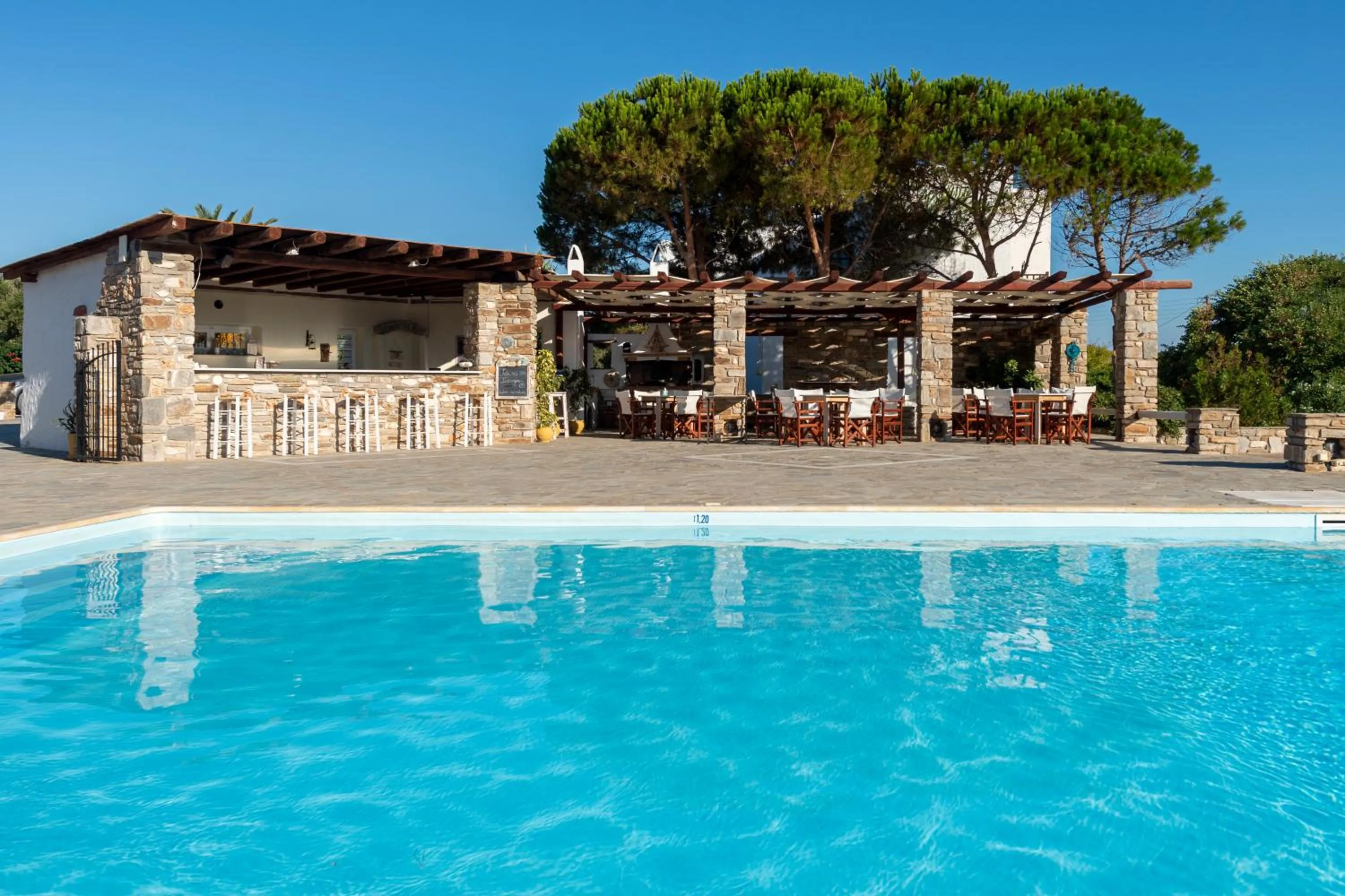 Lounge or bar in Hotel Swiss Home