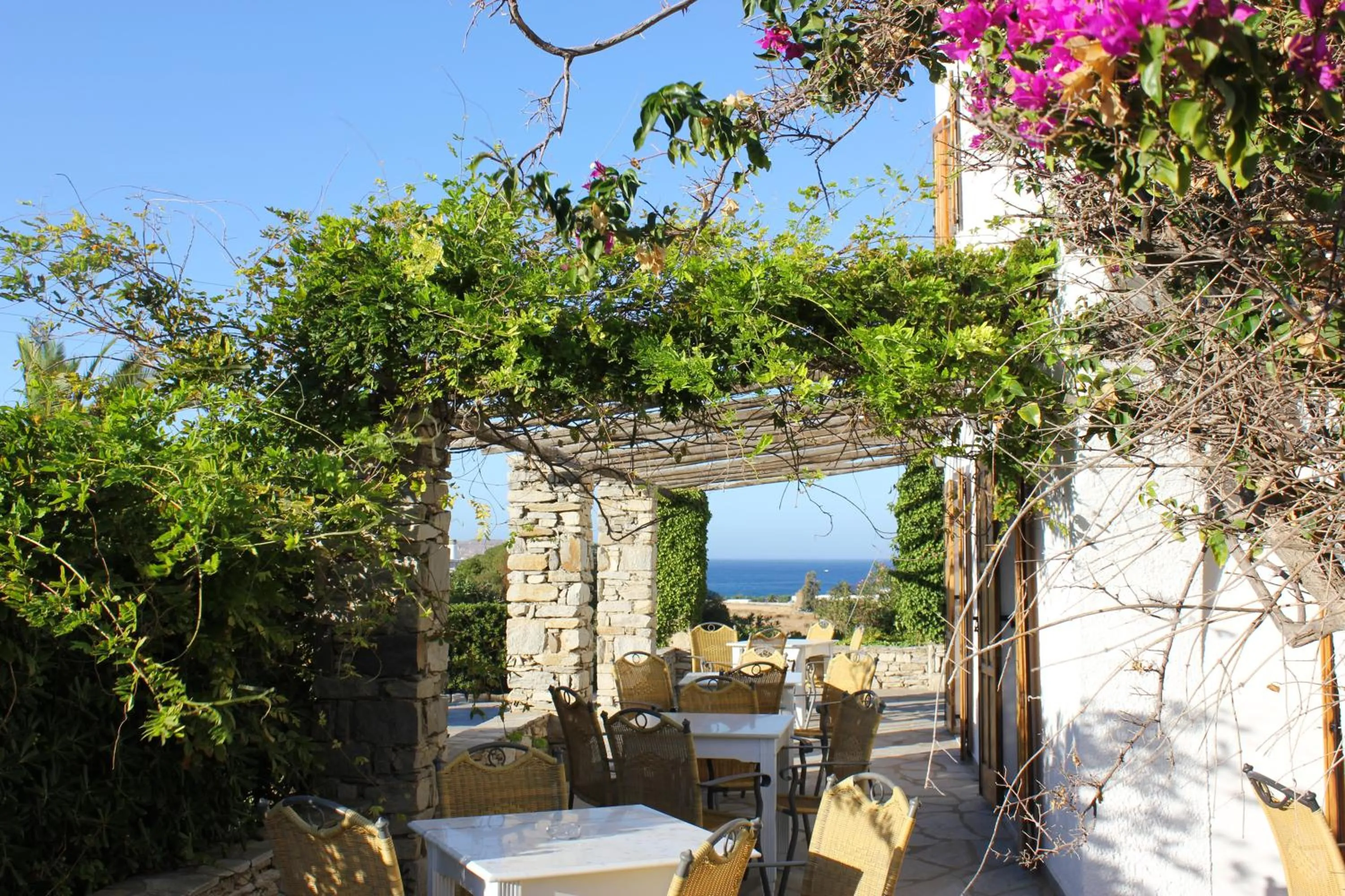 Patio in Hotel Swiss Home