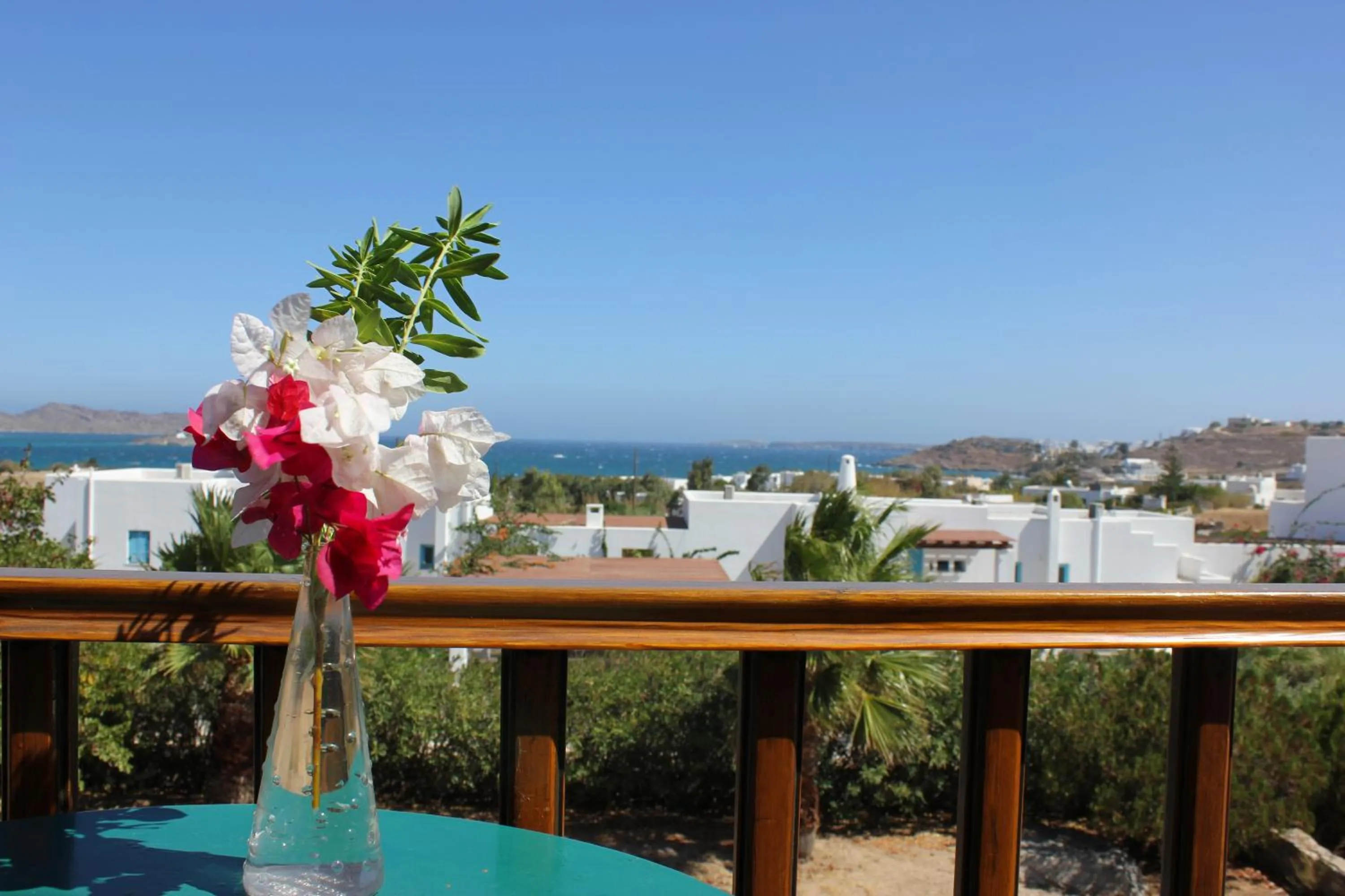 Balcony/Terrace in Hotel Swiss Home