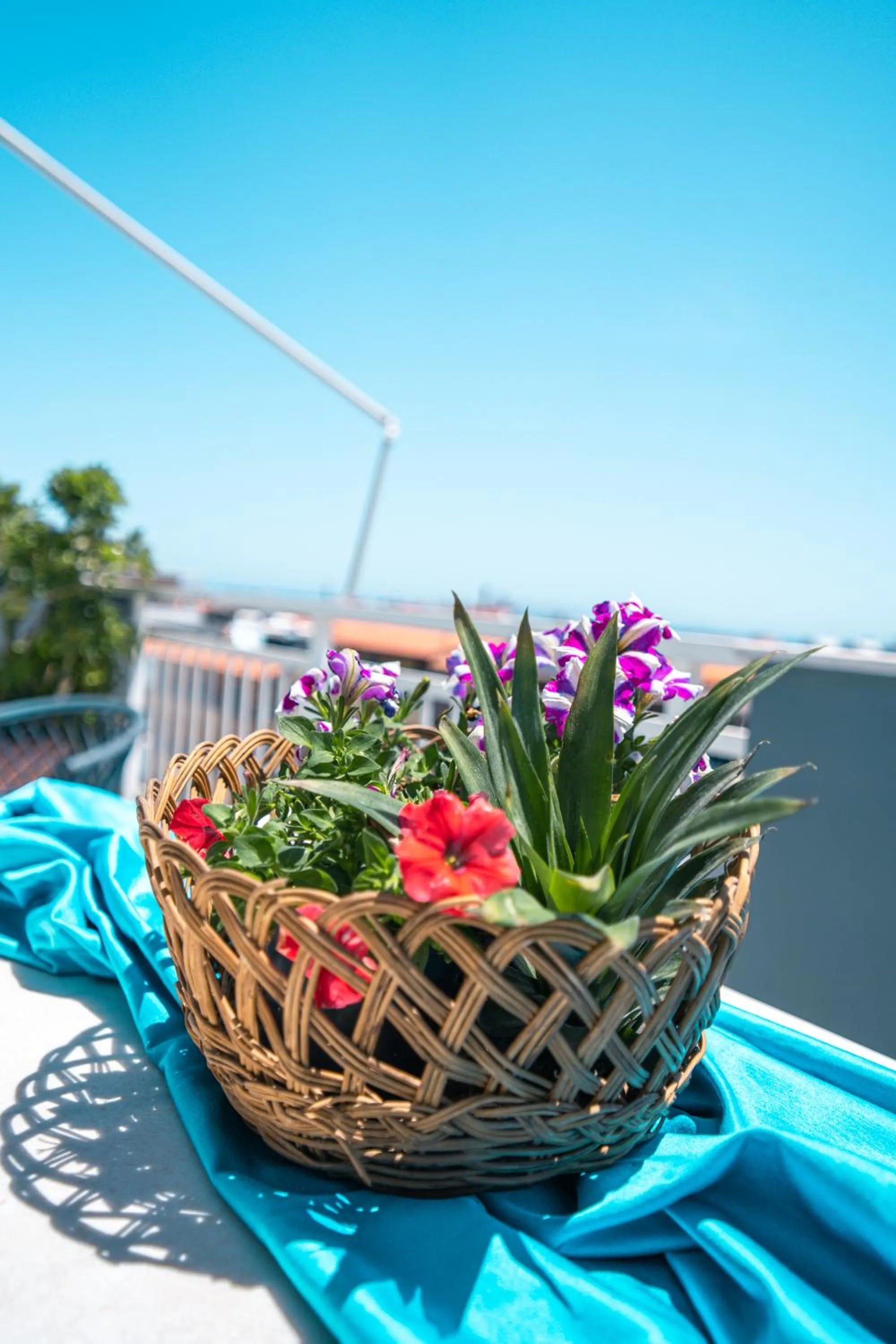 Spring in RODI BLUE apartments