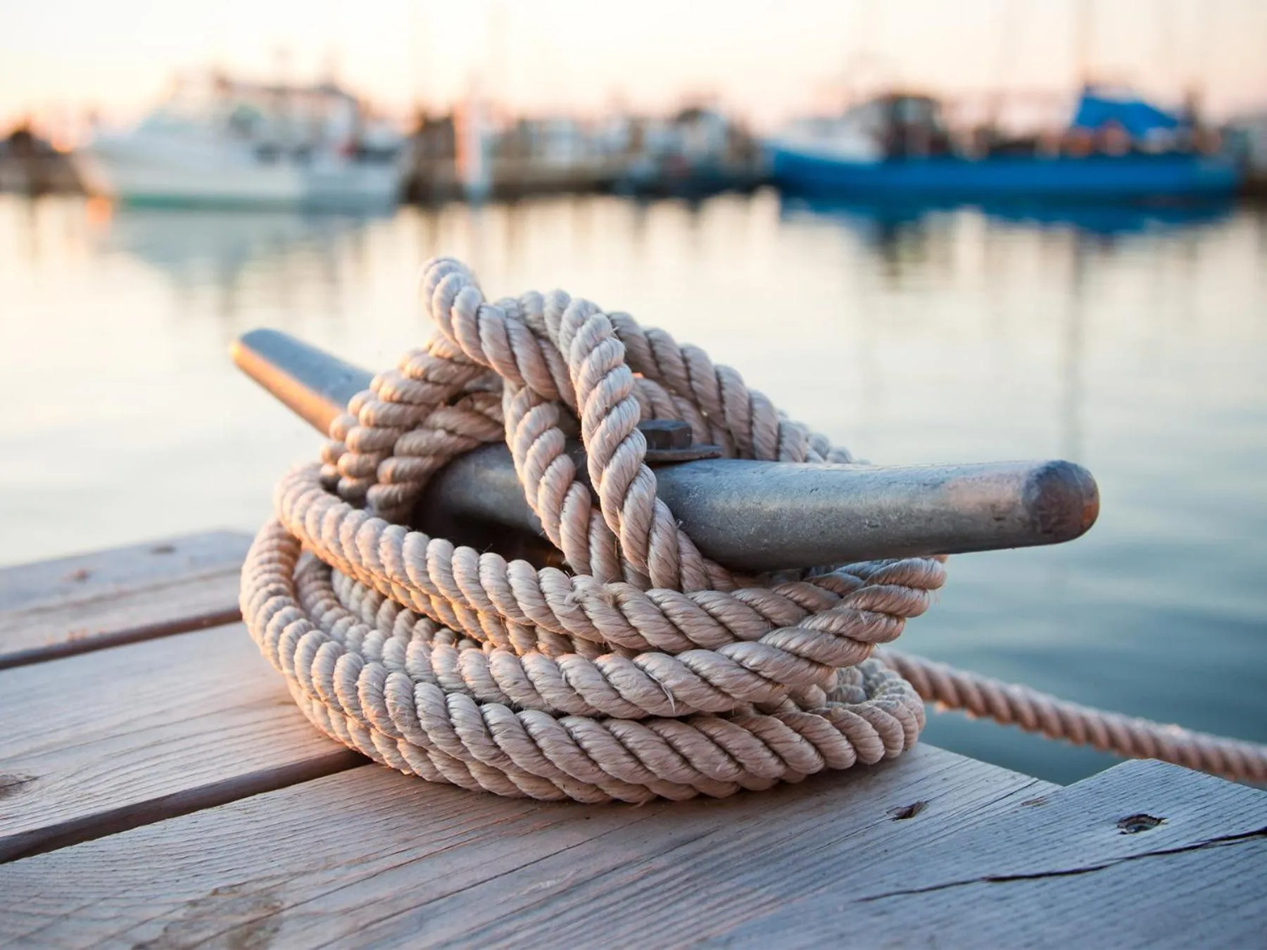 Day in Bells Marina & Fishing Resort - Santee Lake Marion by I95 - Family Adventure, Pets on Request!