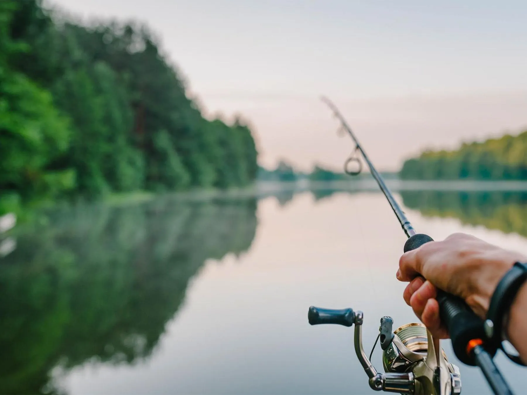 Day in Bells Marina & Fishing Resort - Santee Lake Marion by I95 - Family Adventure, Pets on Request!