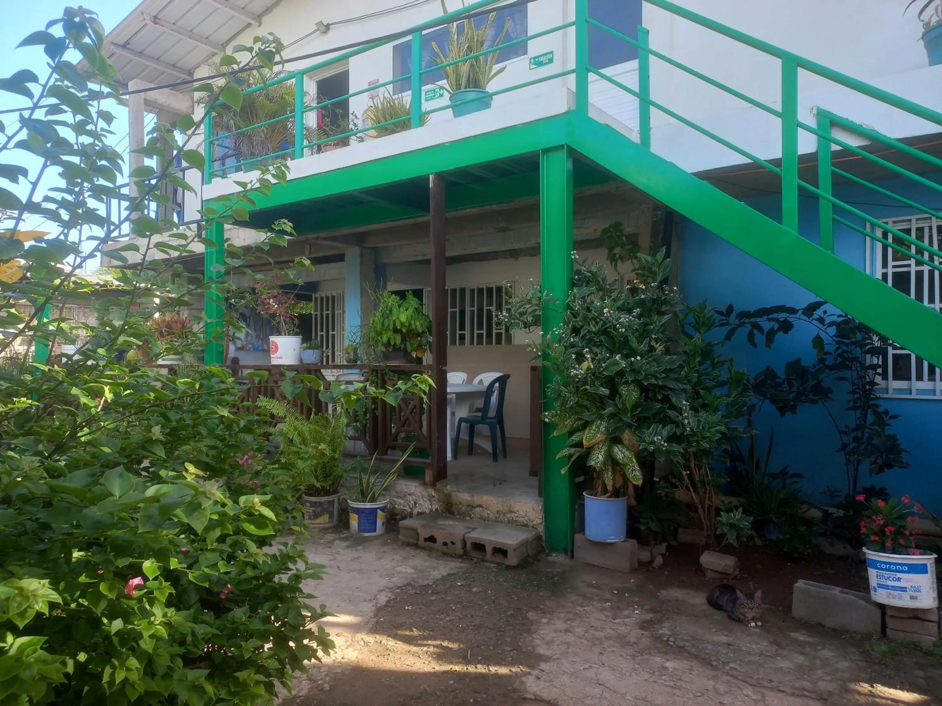 Garden view in LODGE ELIZABETH HOUSE