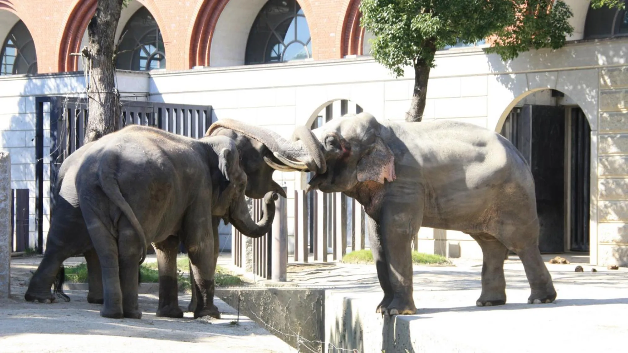 Nearby landmark in Toyoko Inn Futamatagawa-eki Kita-guchi