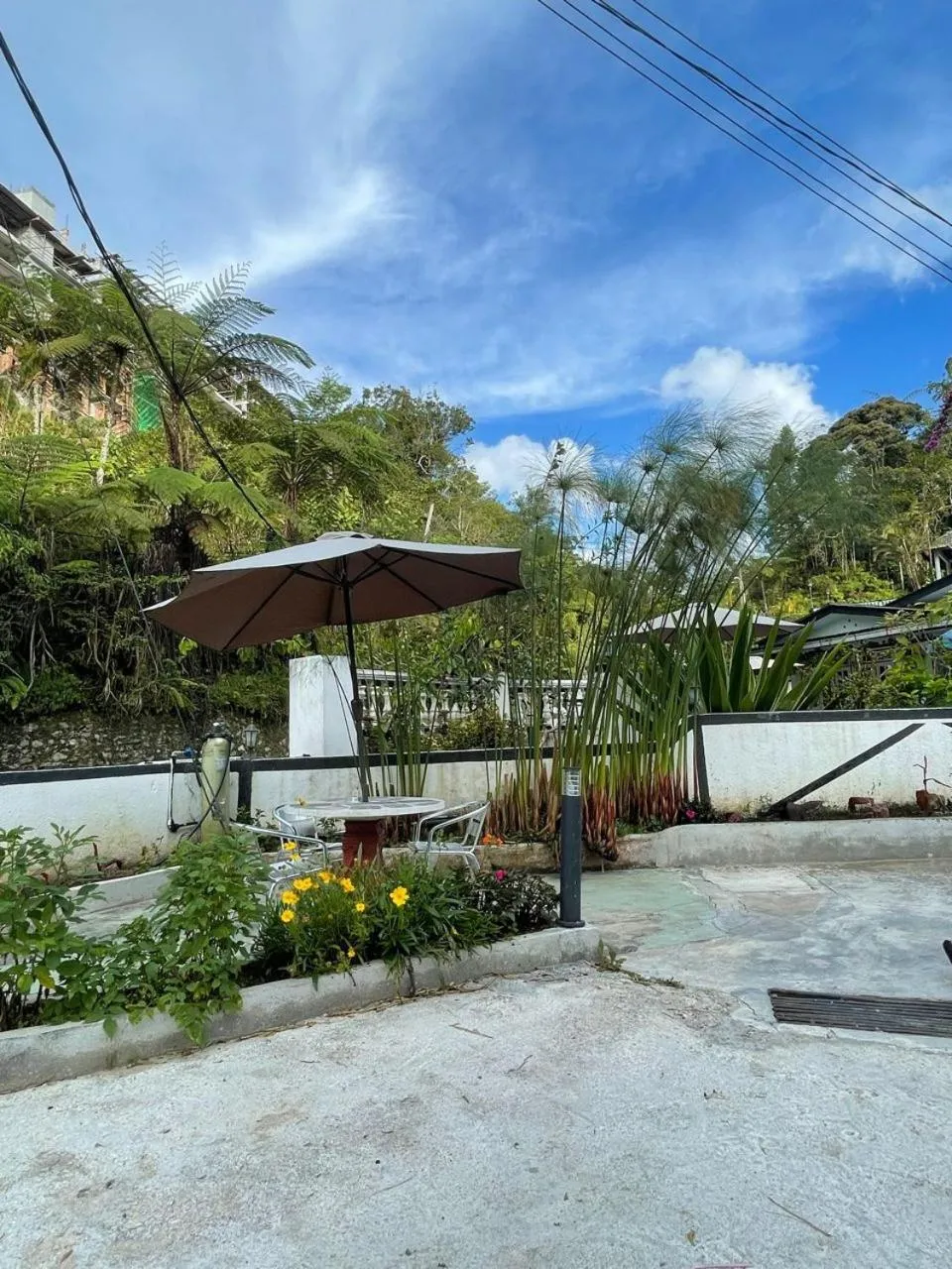 Area and facilities in Vintage Guesthouse