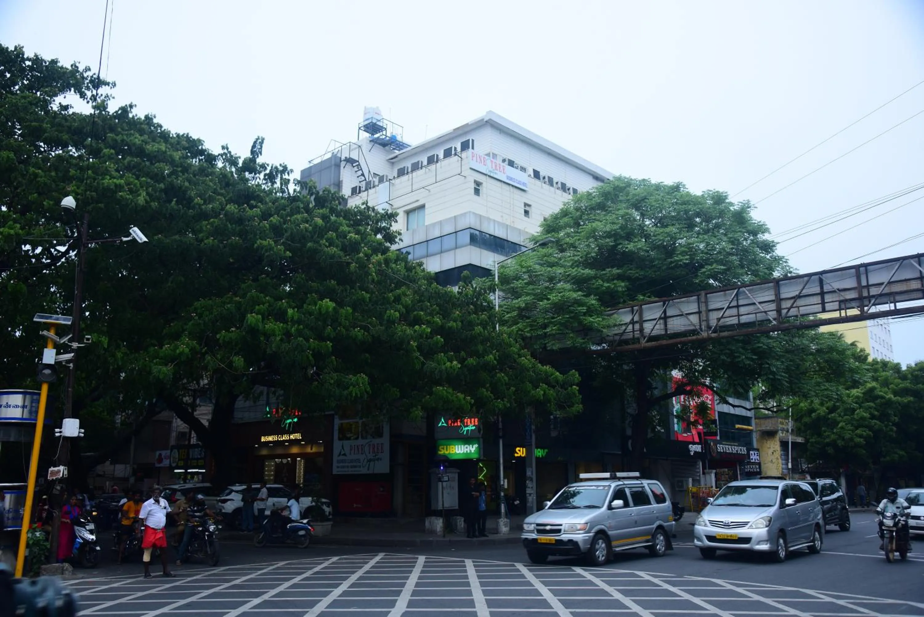 Street view in Pine Tree Signature