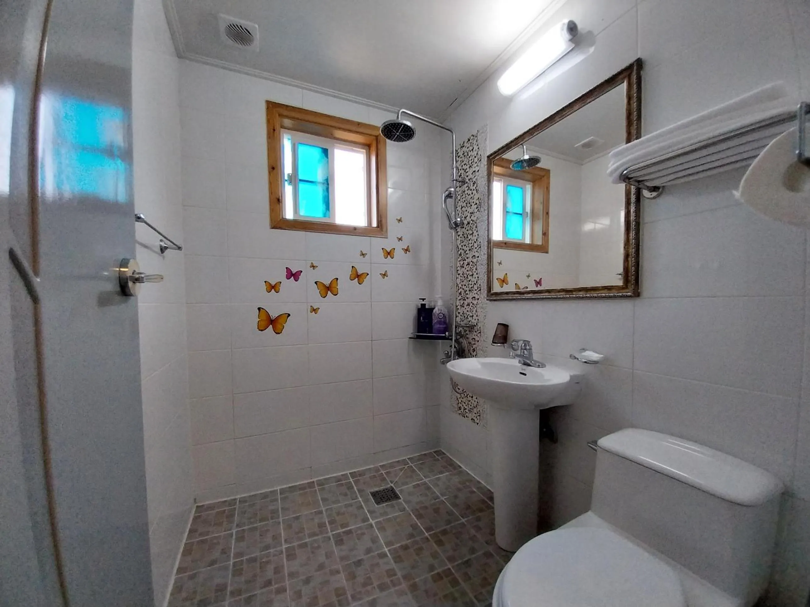 Toilet in Another world pension