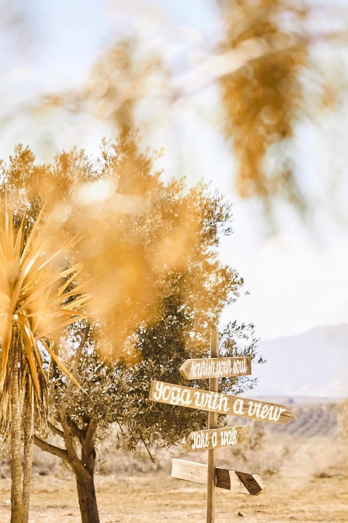 Day in Finca las Calmas boutique hotel & retreats