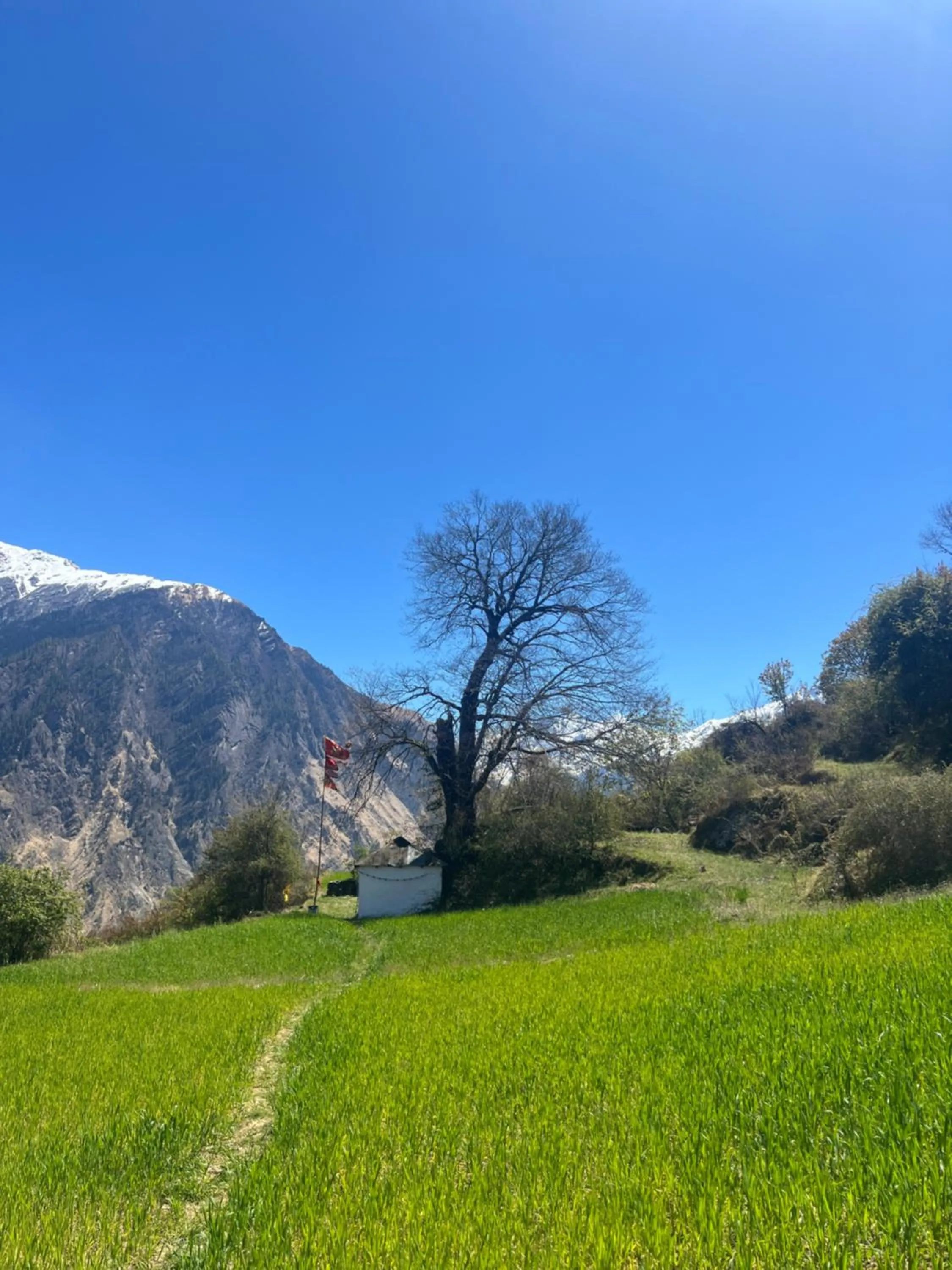 Faraway Cottages, Auli