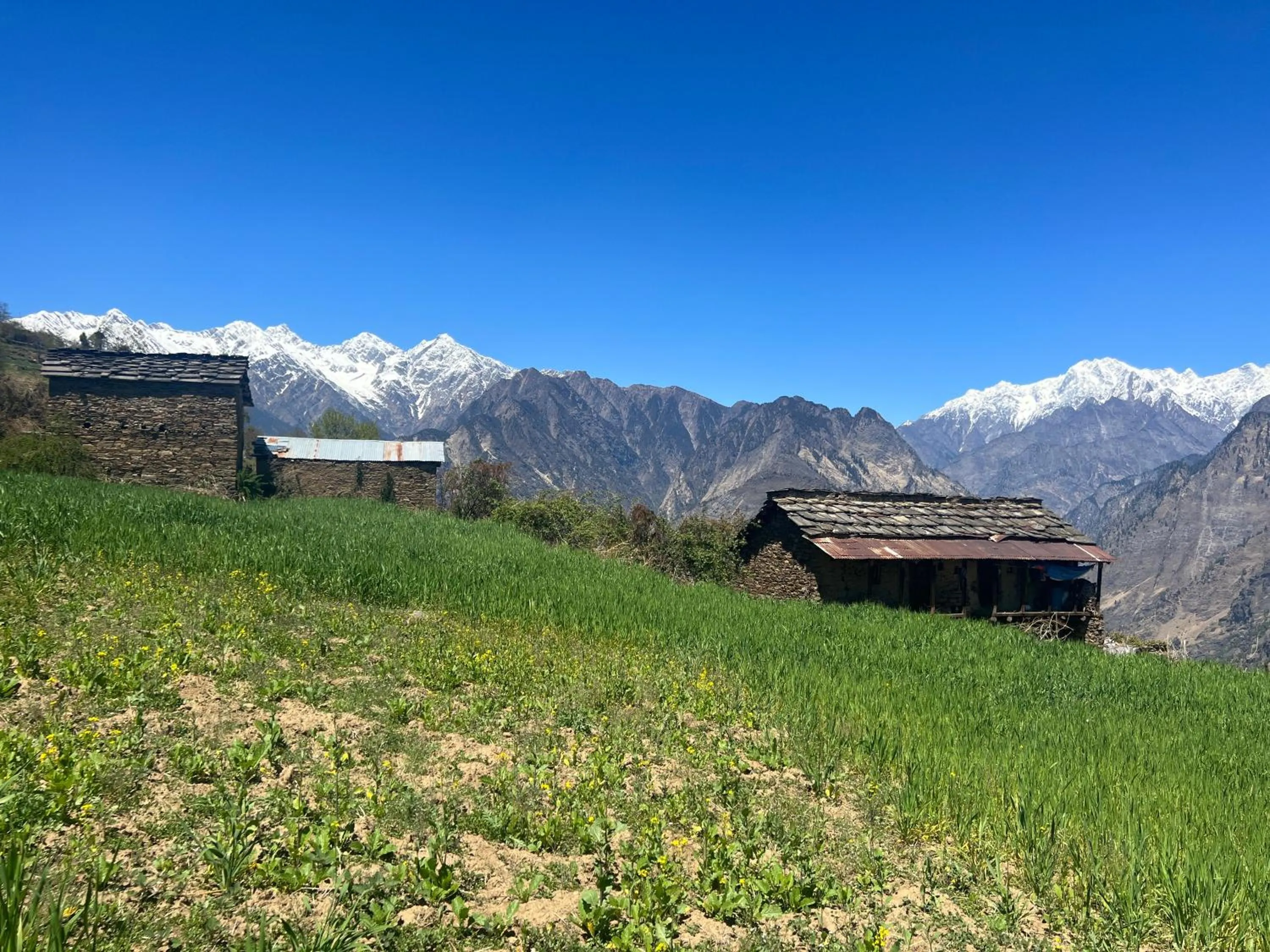 Faraway Cottages, Auli