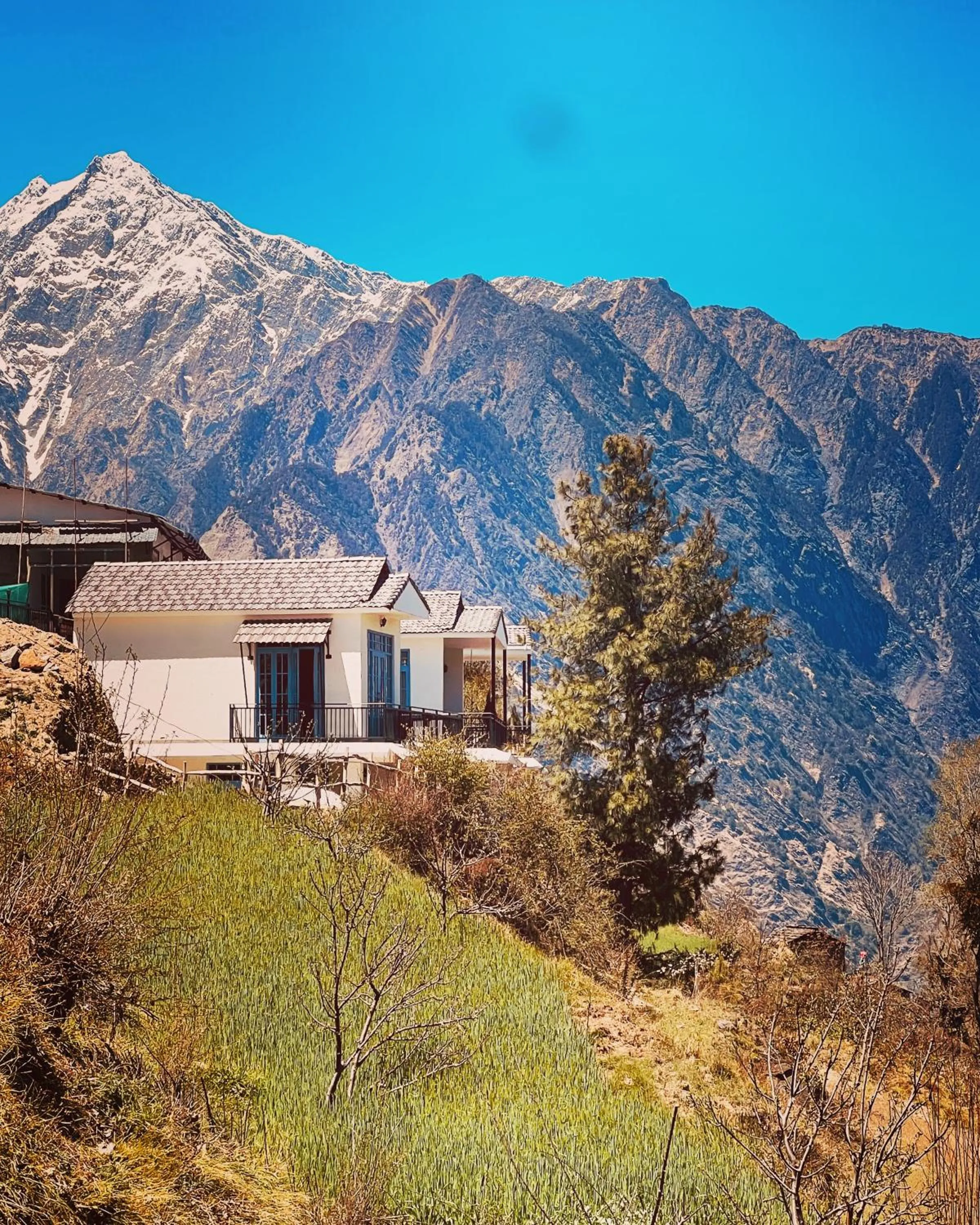 Faraway Cottages, Auli