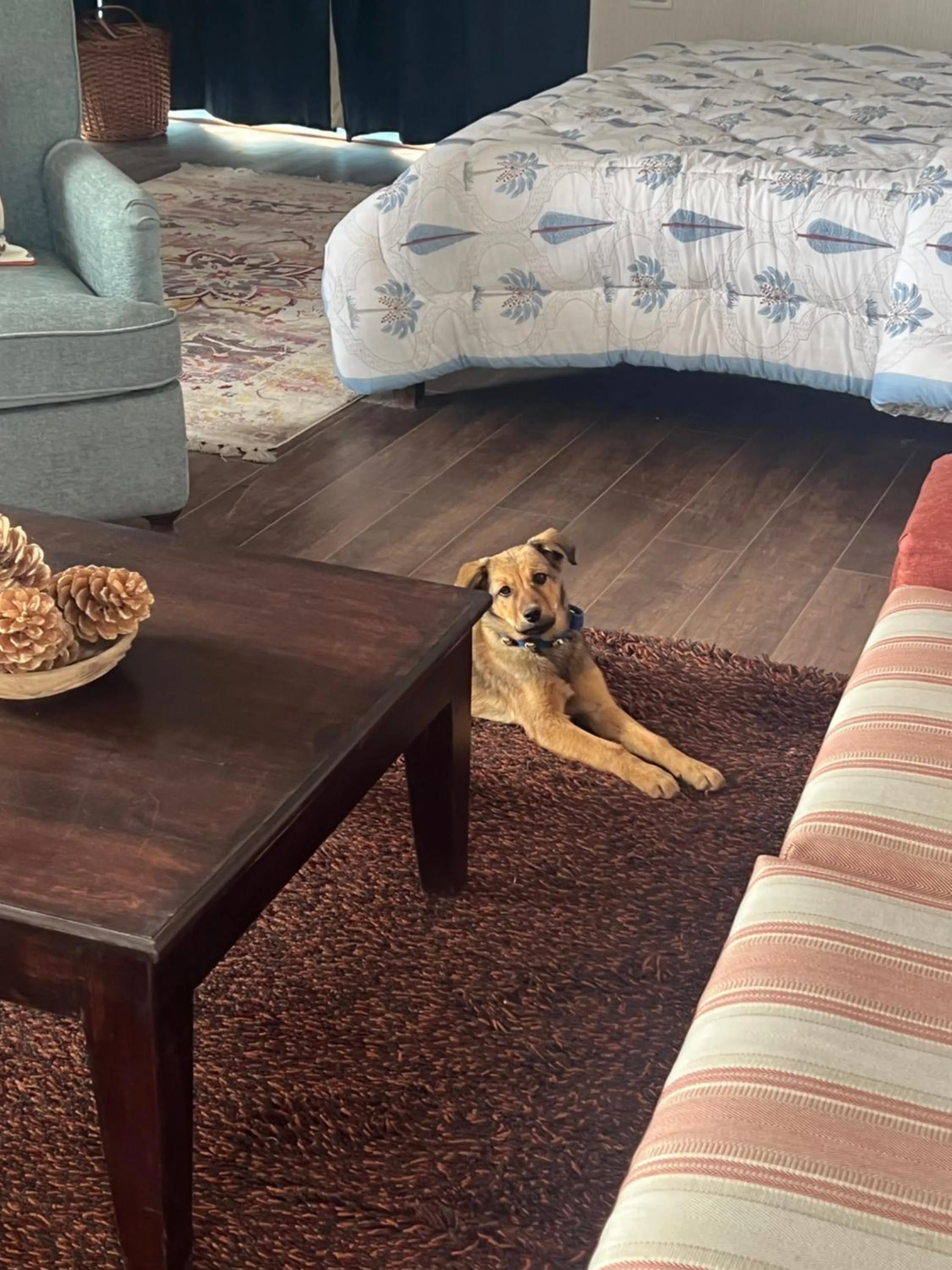 Faraway Cottages, Auli