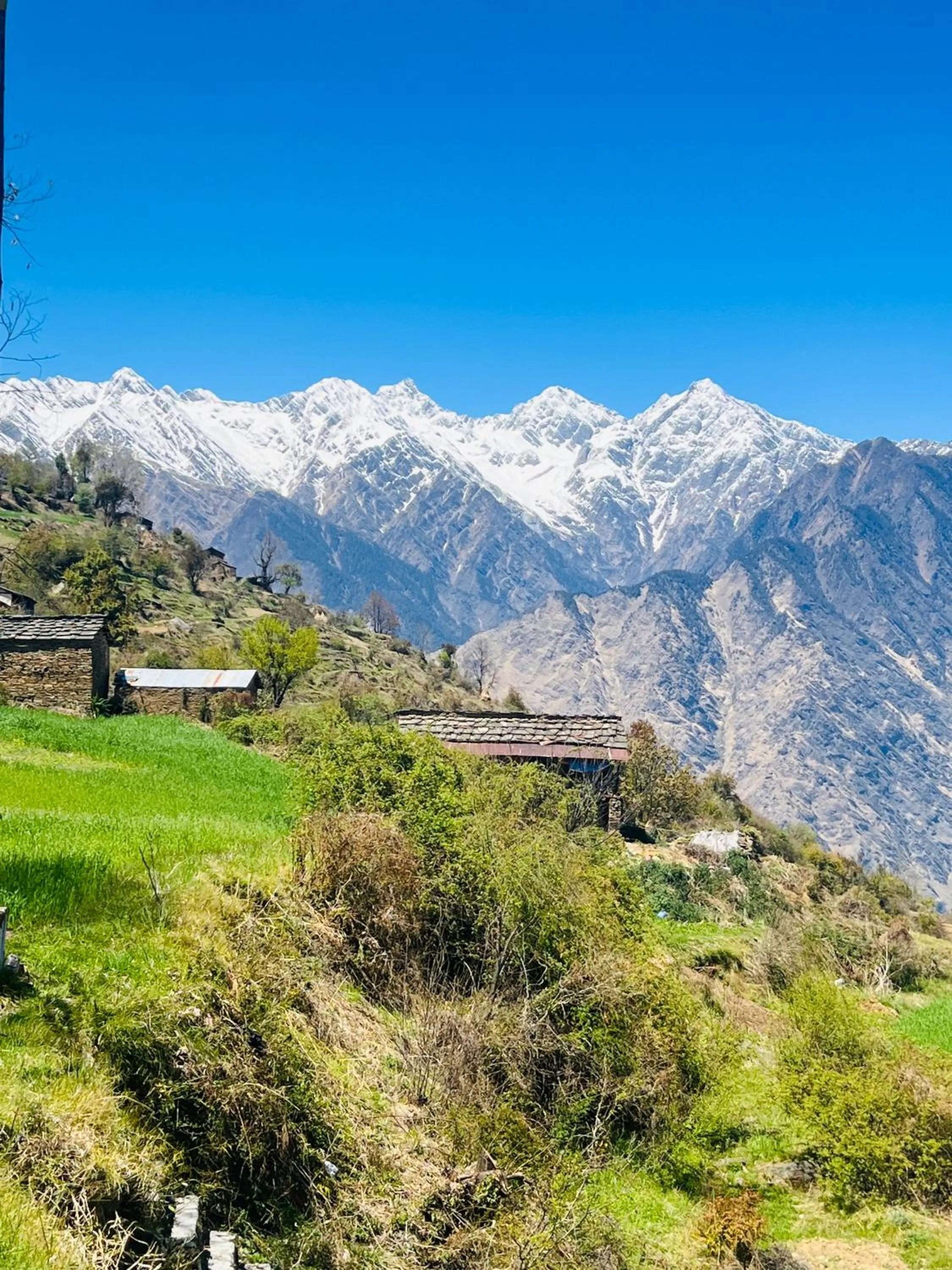 Faraway Cottages, Auli