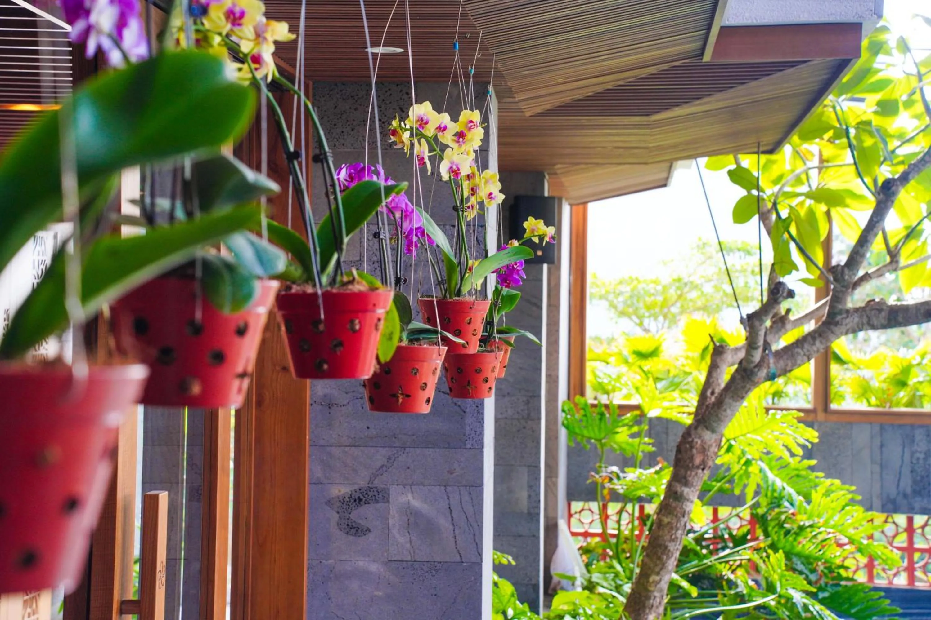 Spring in Bonny Boutique Hotel Da Nang
