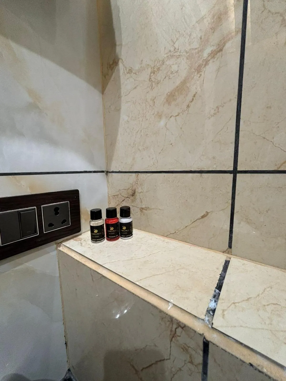 Bathroom in Hotel Shakuntla Palace