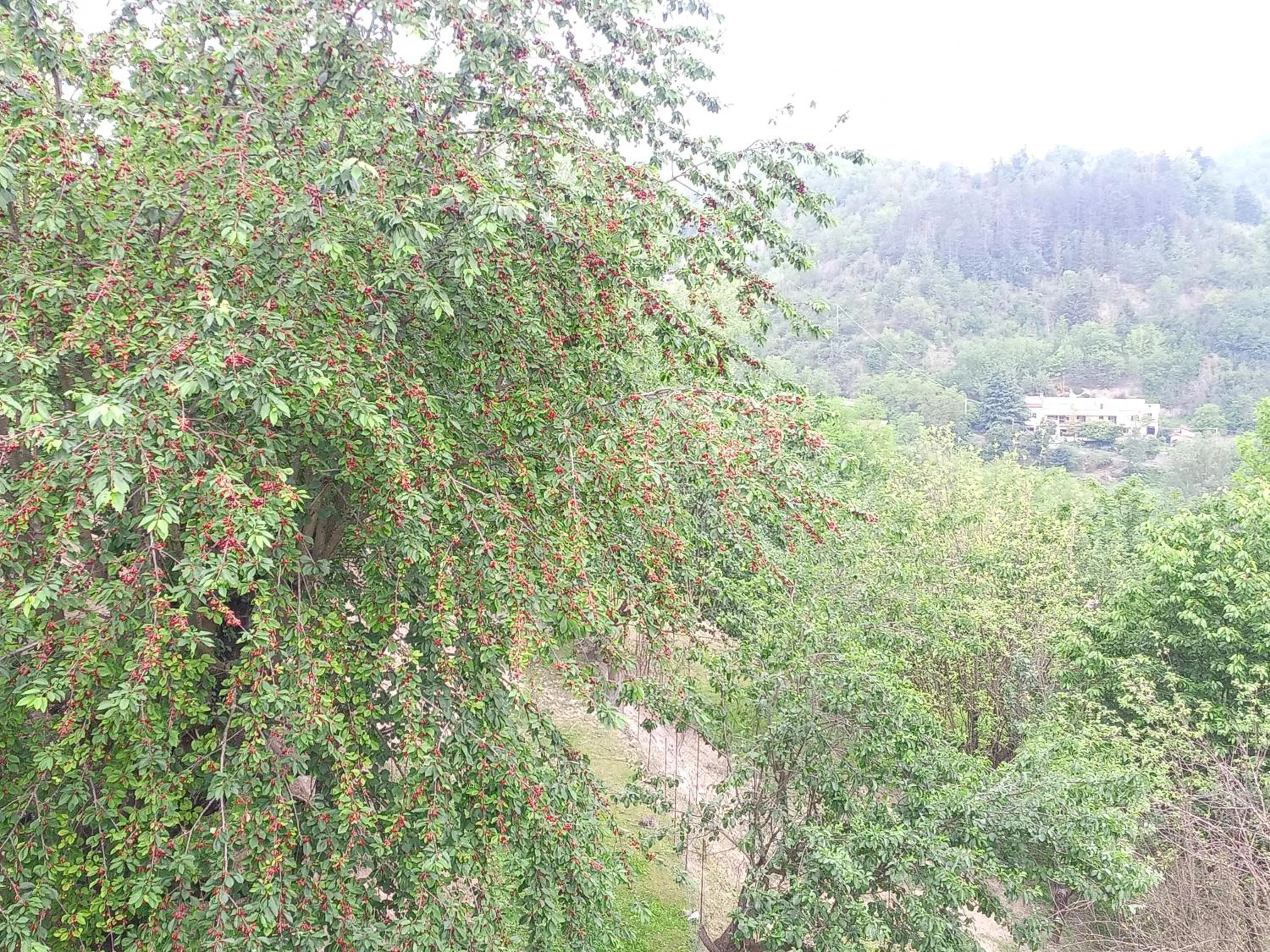 Spring, Natural Landscape in La Contea