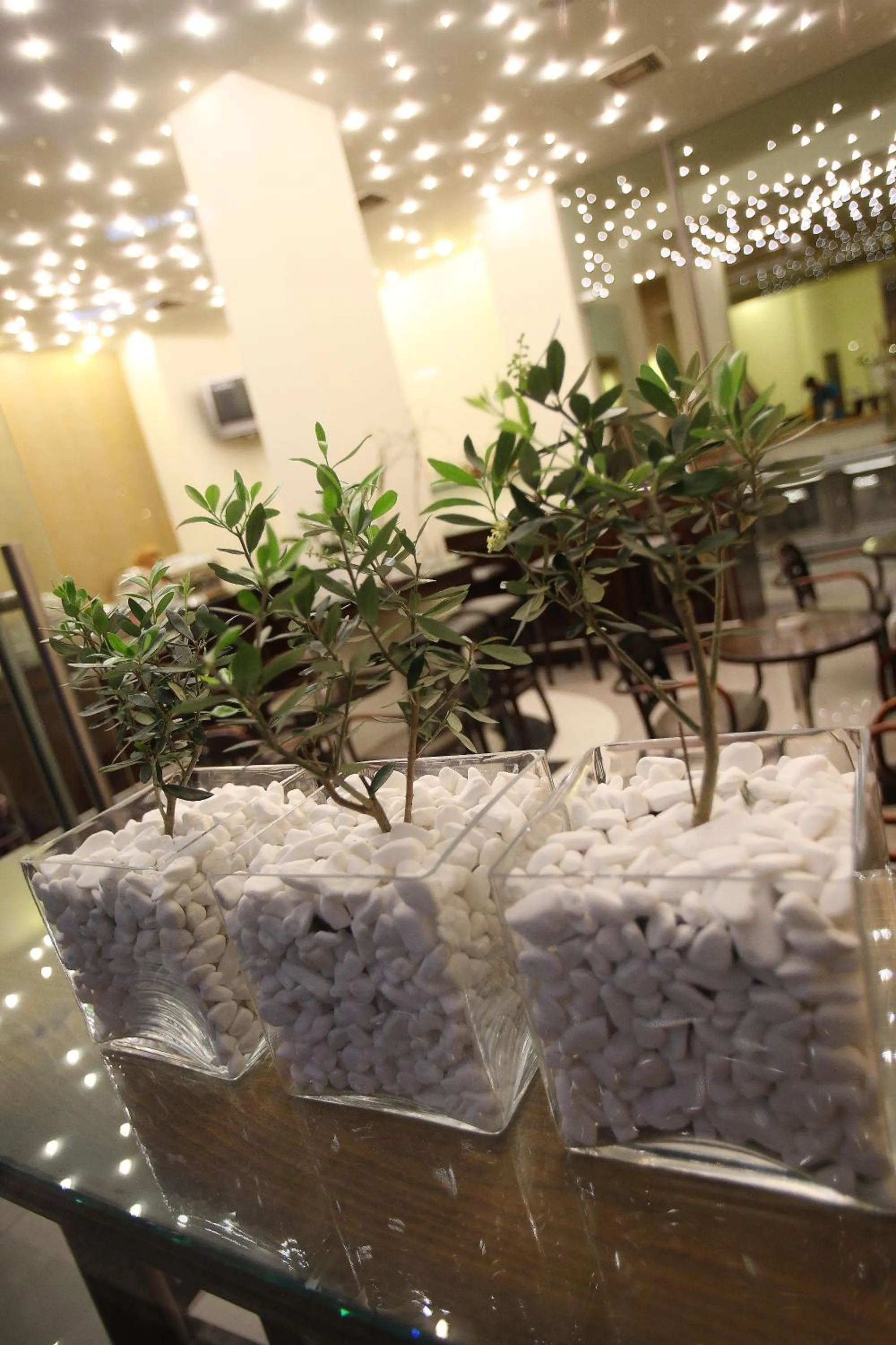 Decorative detail in Olympic Hotel