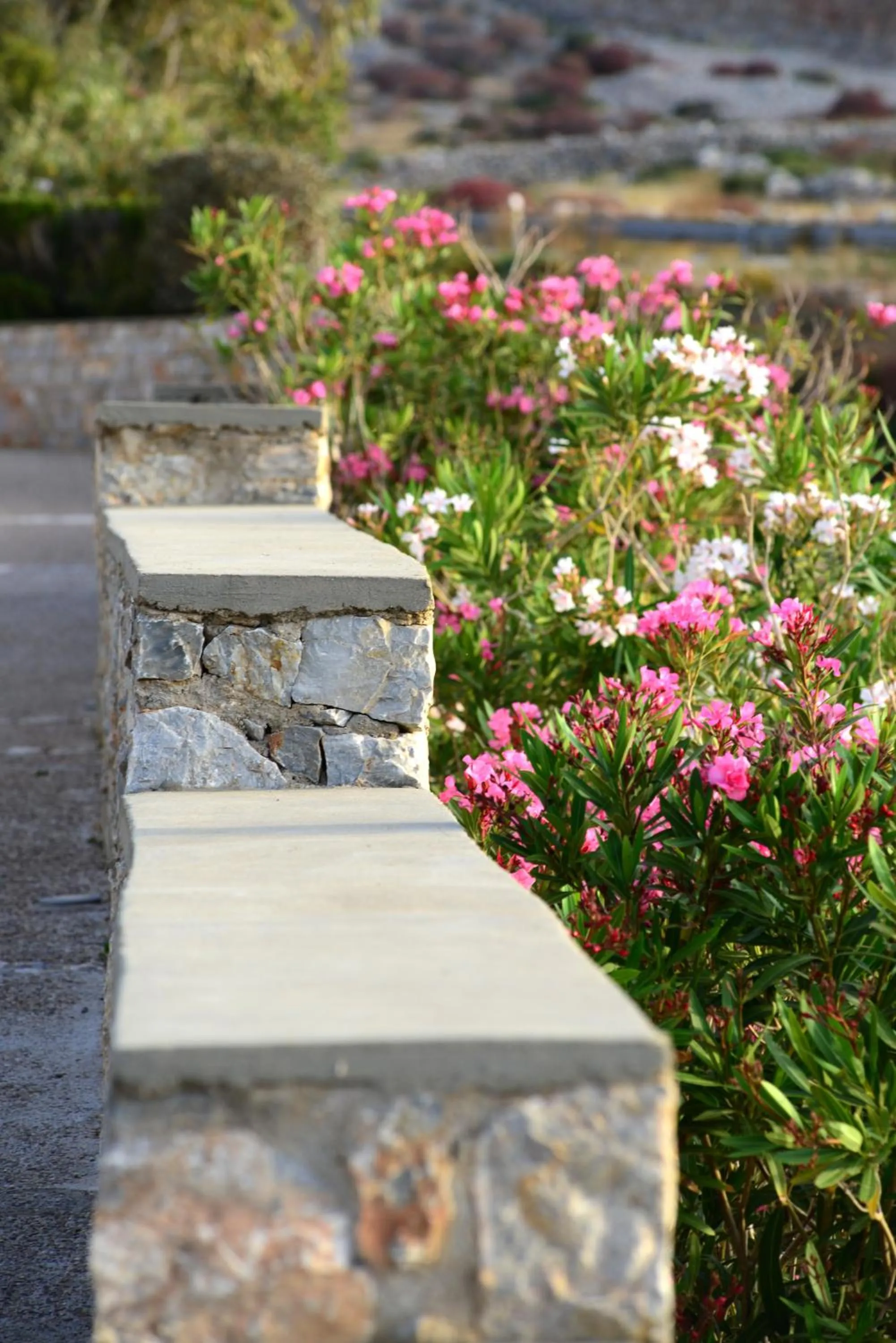 Other in ANEMI Folegandros