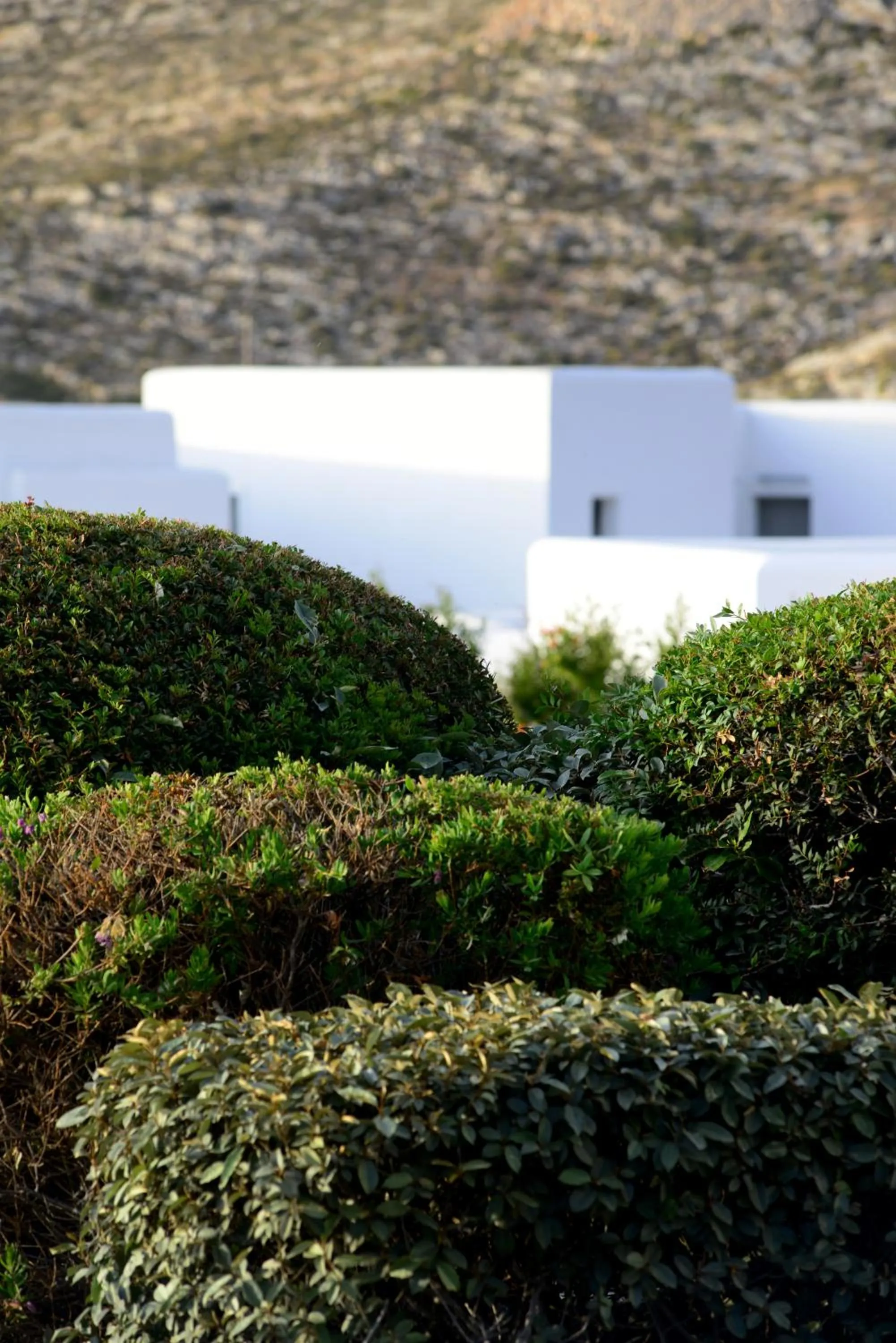 Garden in ANEMI Folegandros
