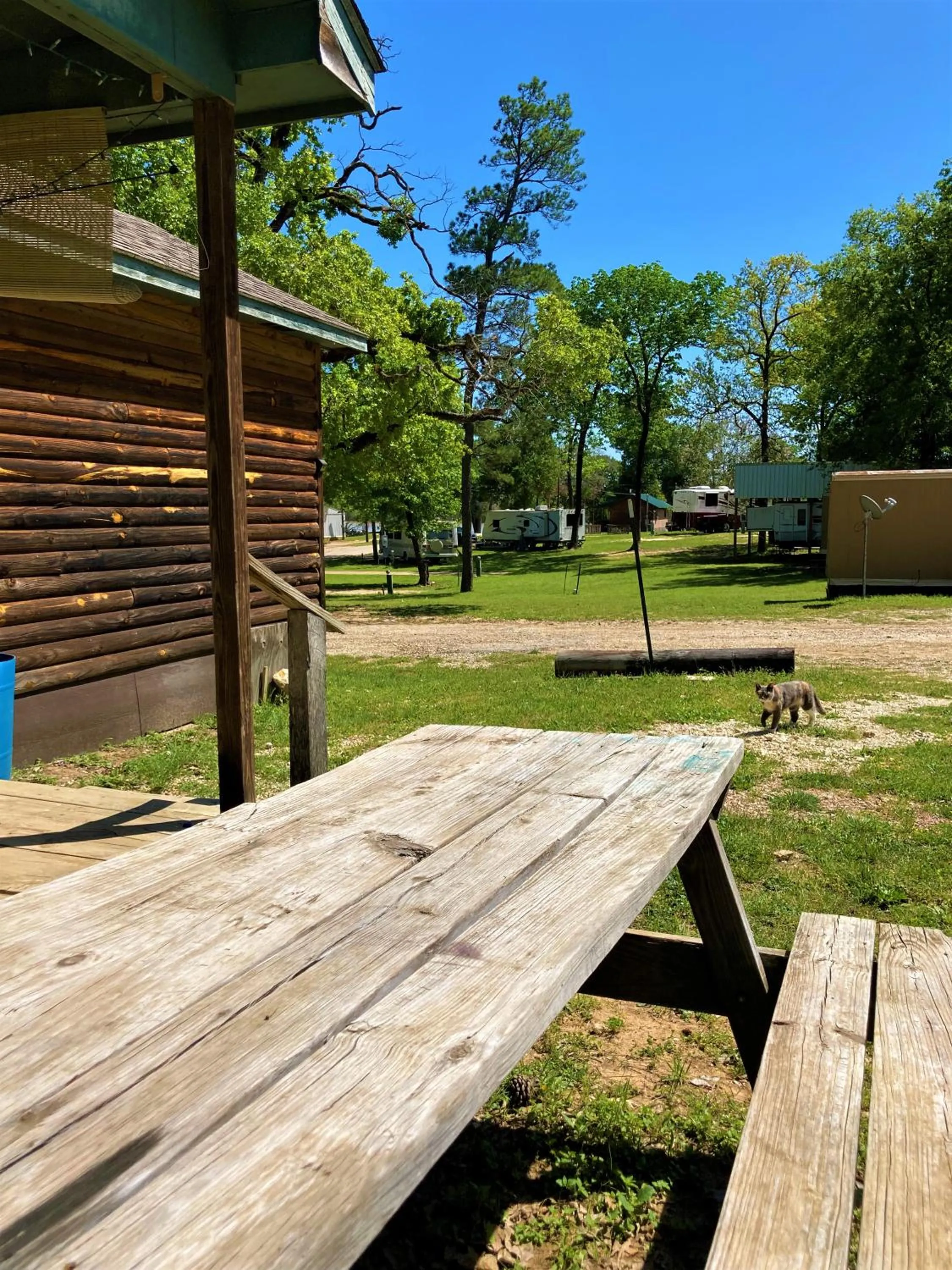 Day in Outback Campground and Marina