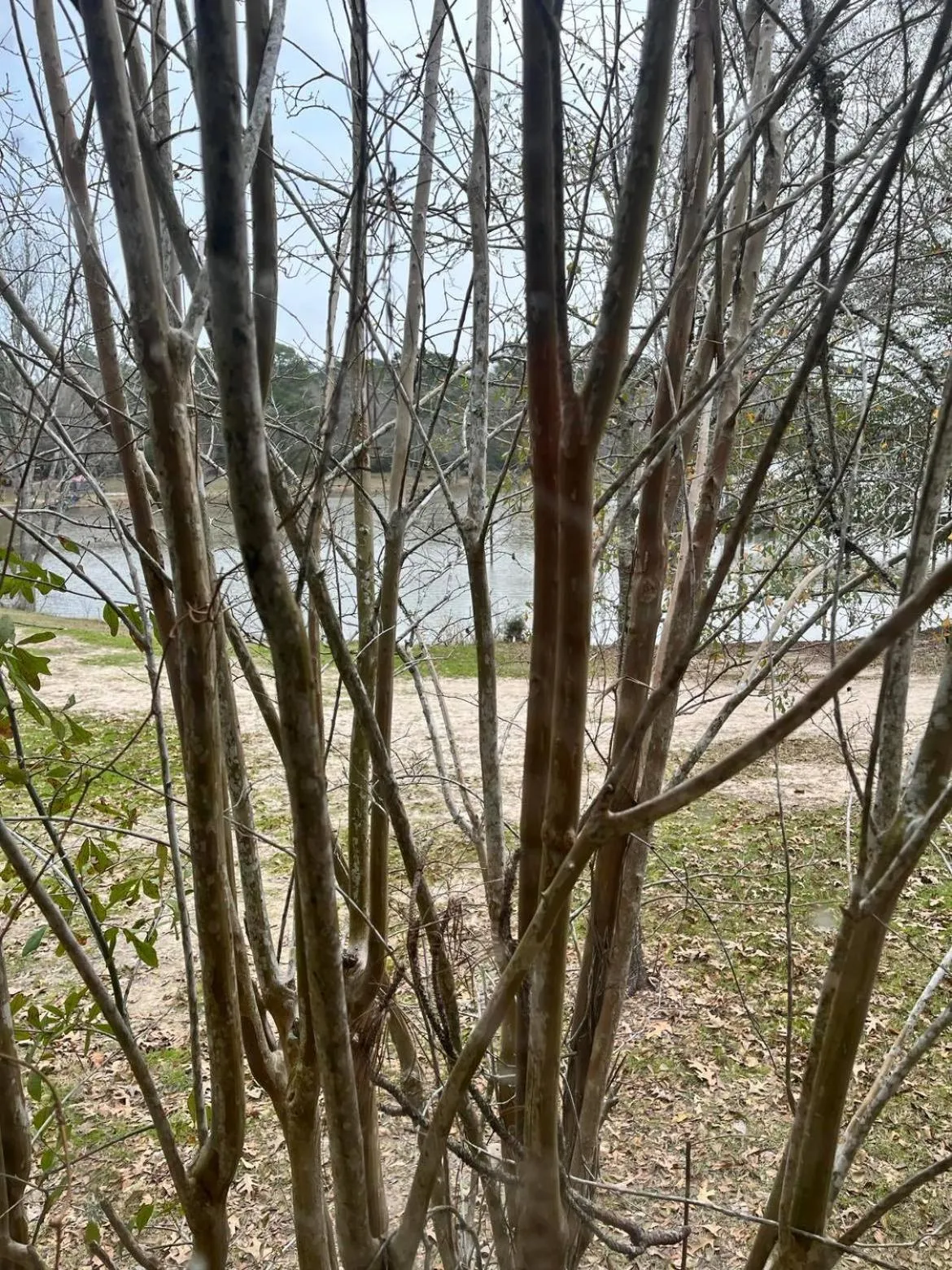 Outback Campground and Marina