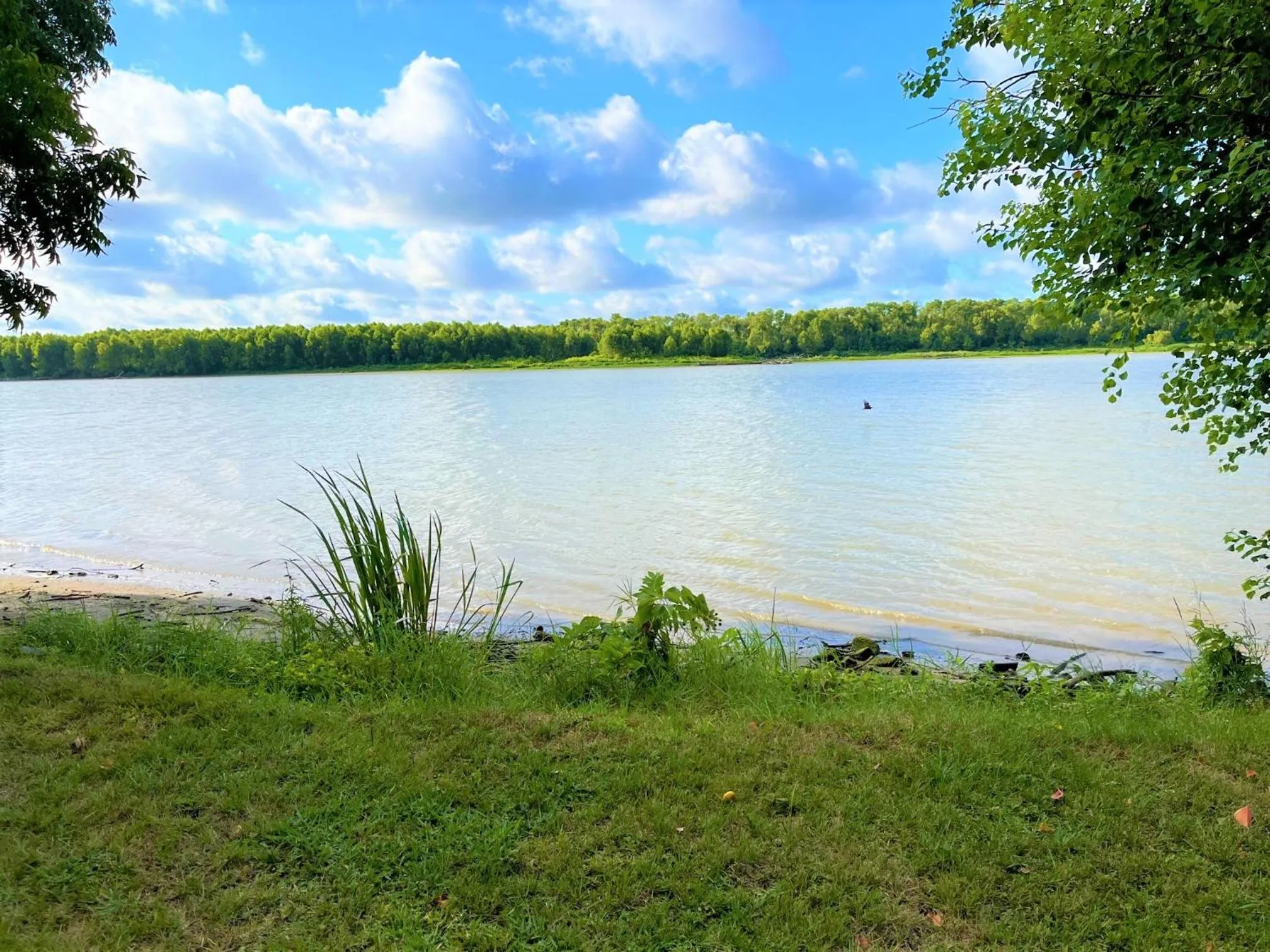 Outback Campground and Marina