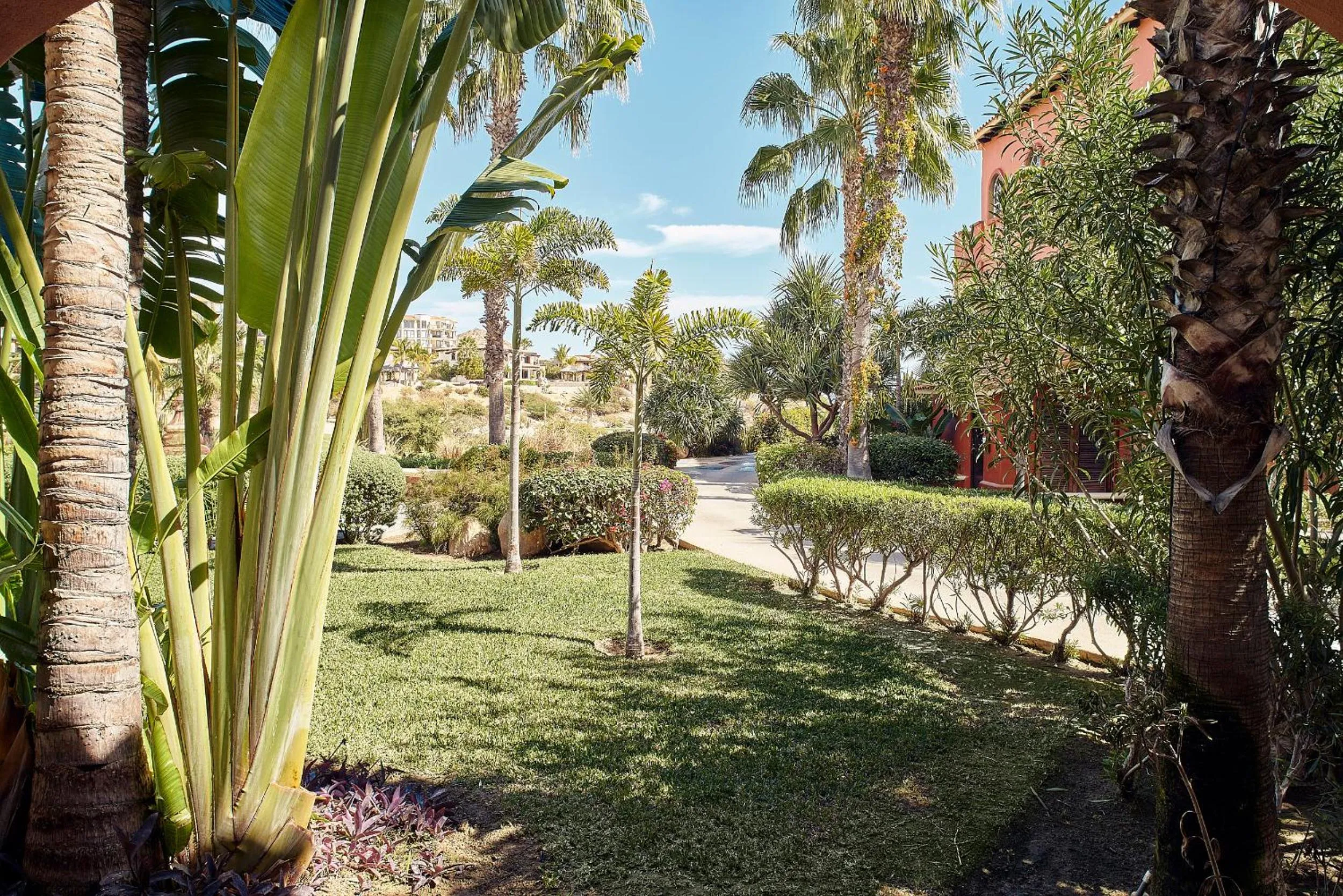 Natural landscape in The Club at Hacienda del Mar